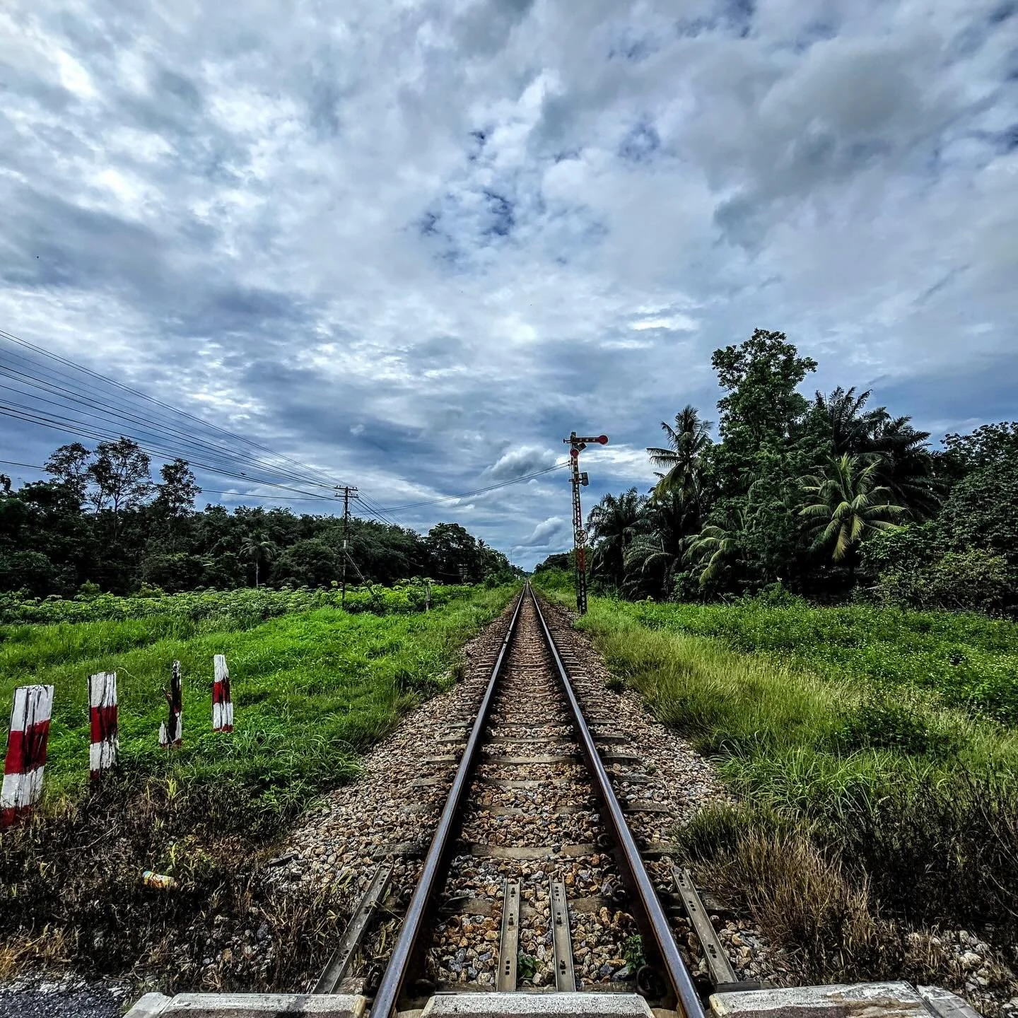 As Group 137 settles into their new homes, we at Sticky Rice want to dedicate this month&rsquo;s group article to the places we have called home for a little over a year! Go to our website to read a collection of love letters in the form of articles 