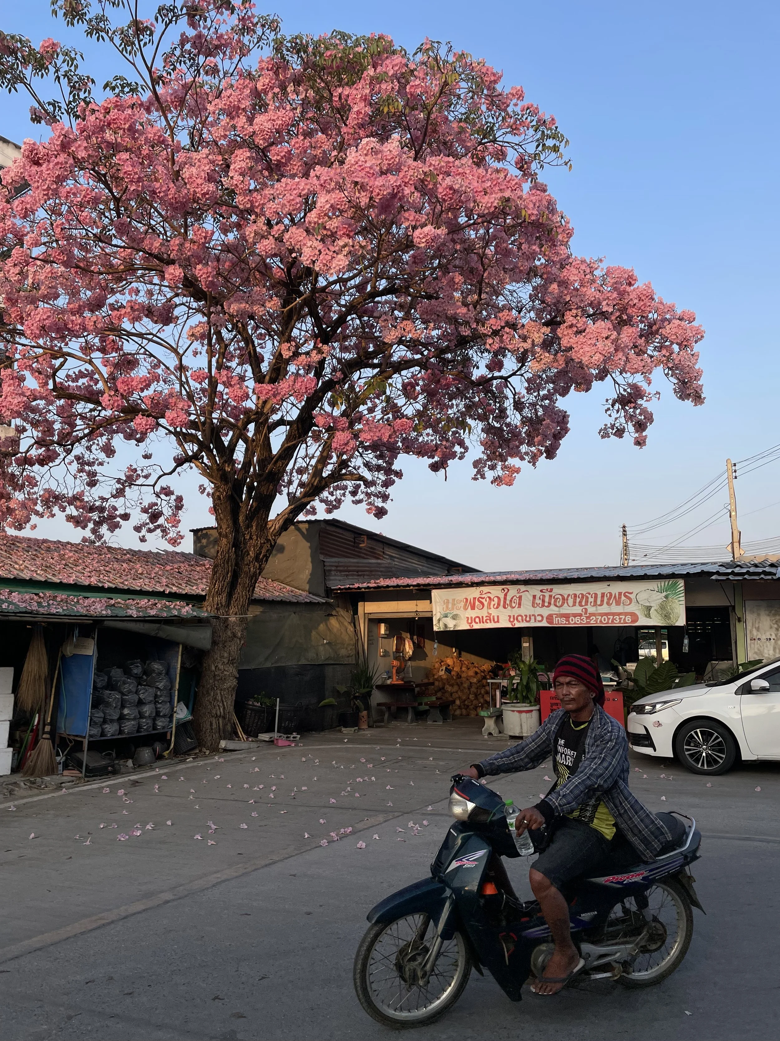 Man on Bike - Madison Keto.jpeg