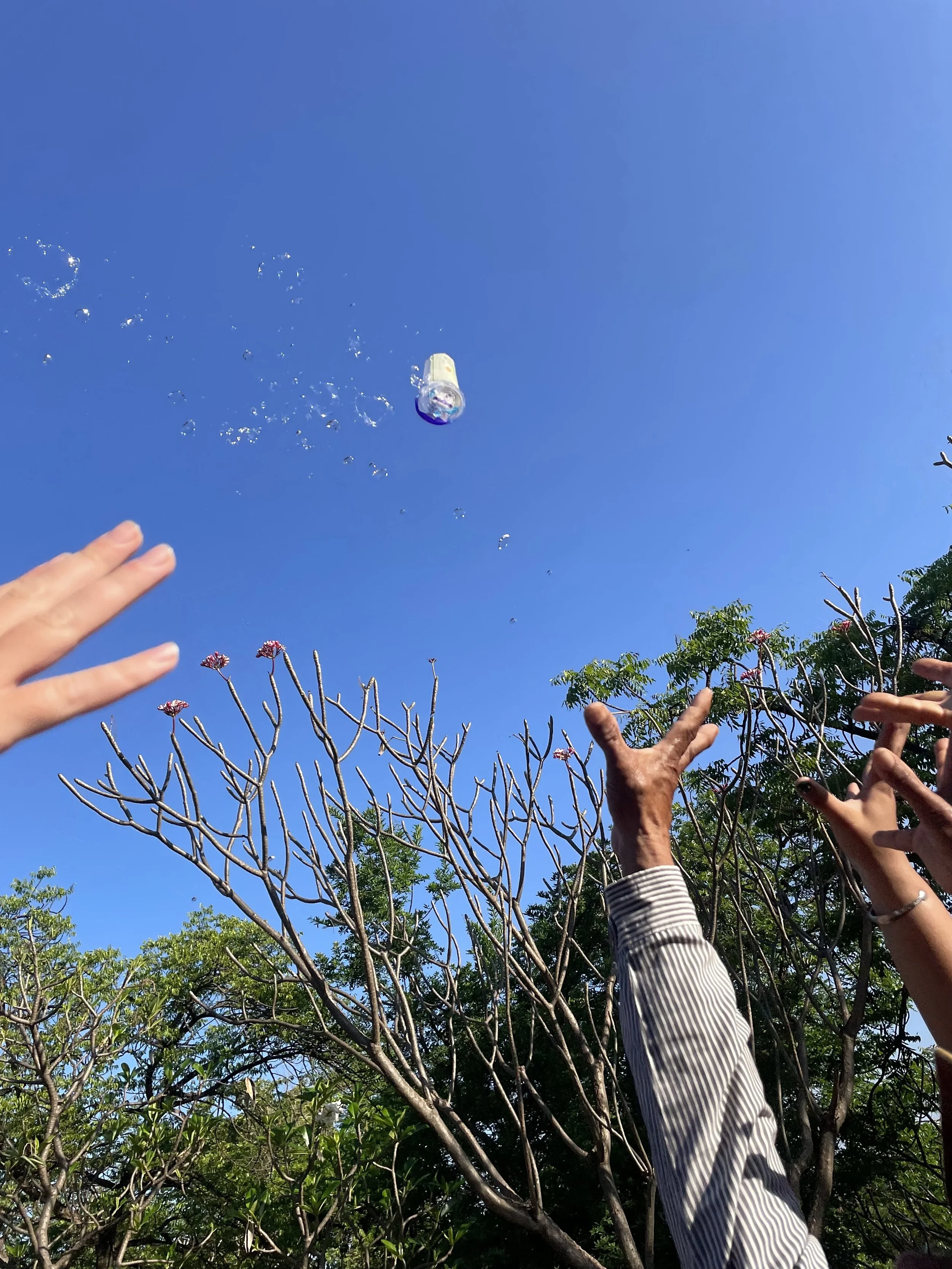 Reaching - Madison Keto.jpeg