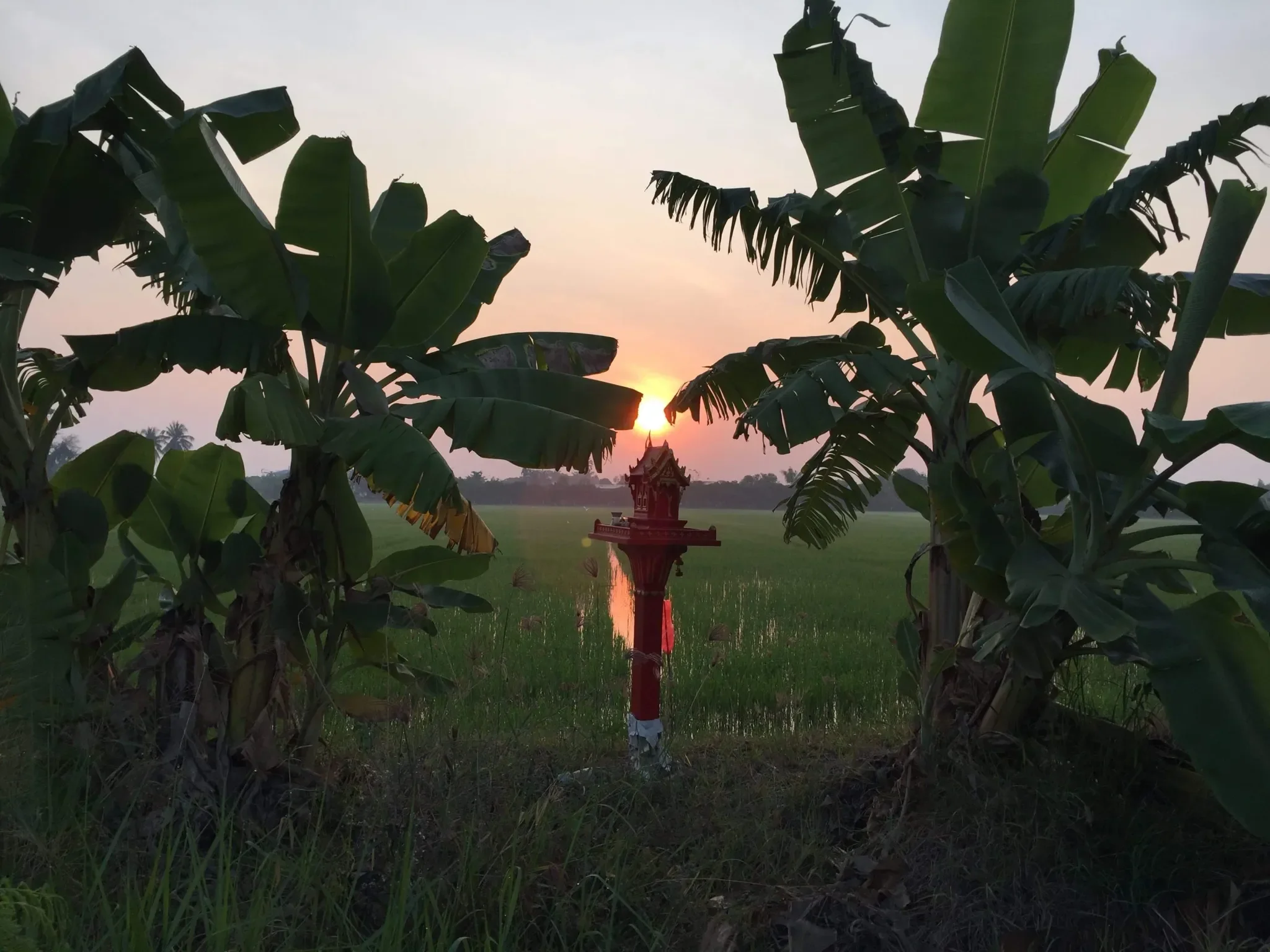 I Didn’t Think Much About PST Before Coming