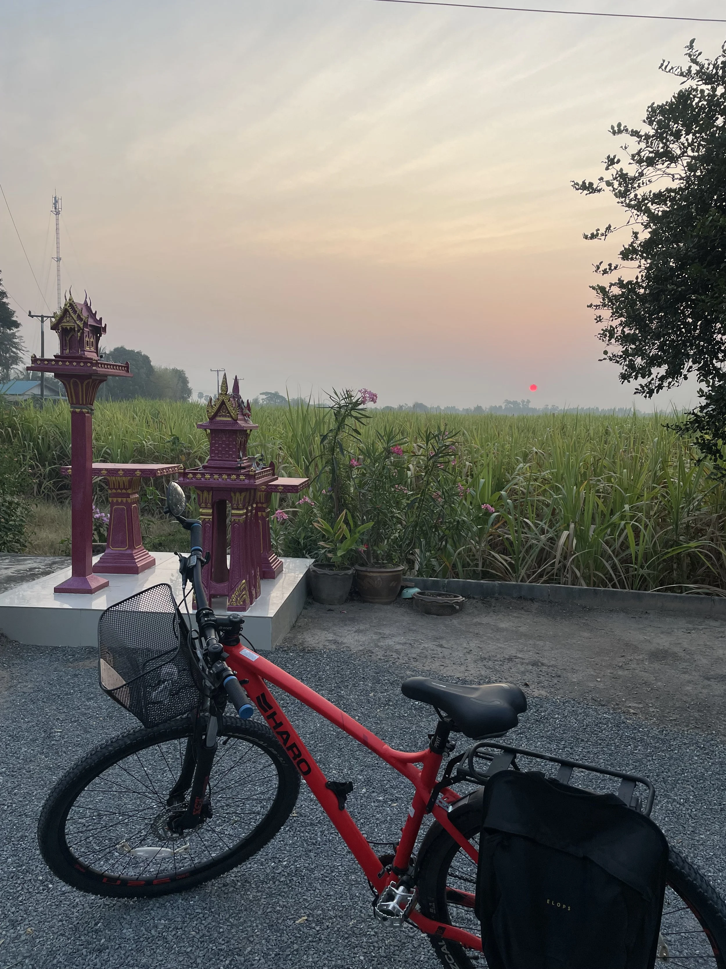 Red Sun Red Bike - Madison Keto.jpeg