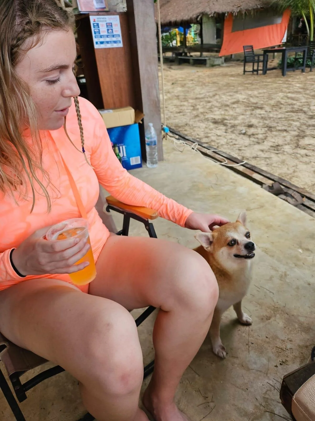 tmtkl-20-beach-dog-lillian-hromadka.jpg