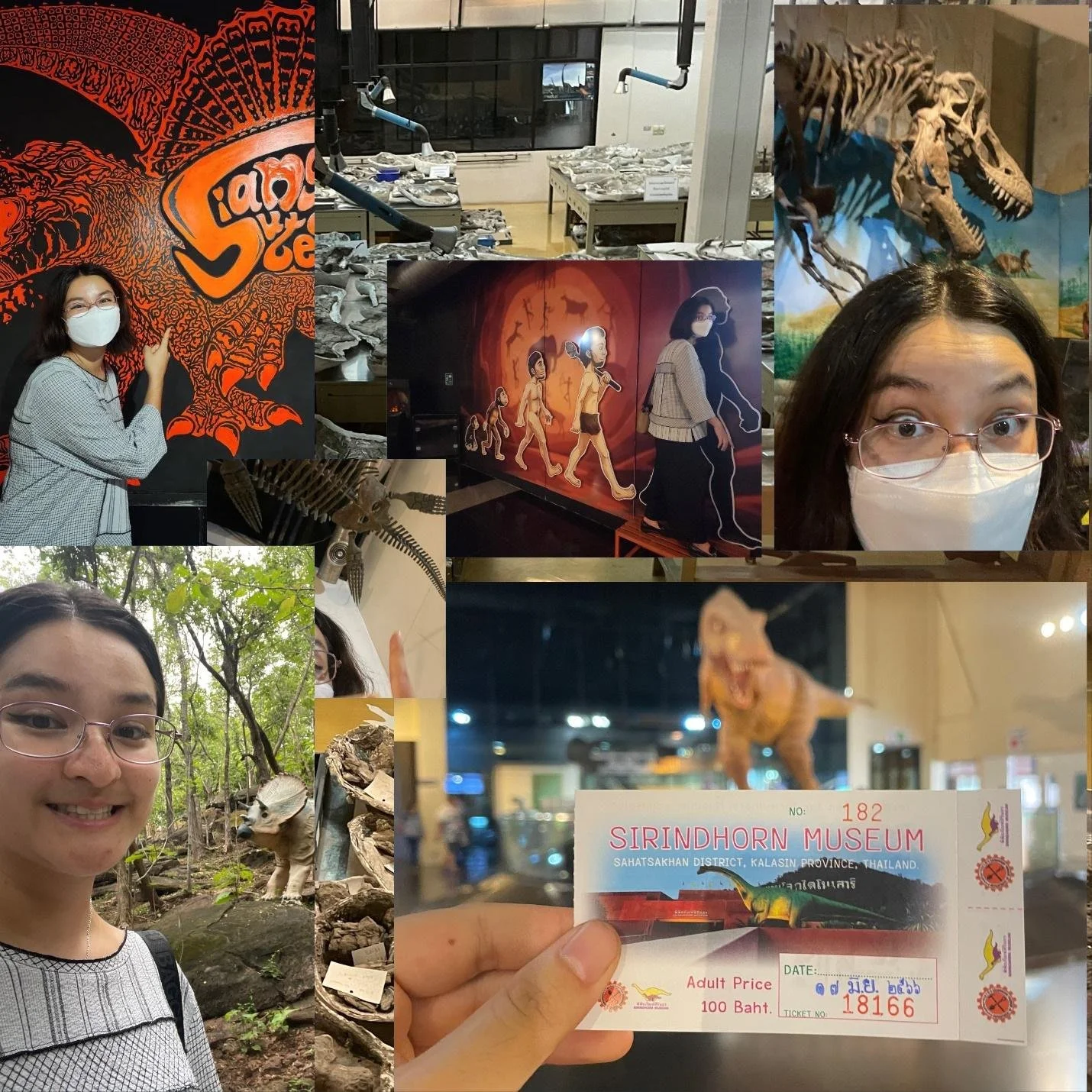 Take Me To: Jangwat Dinosao (Dinosaur Province)