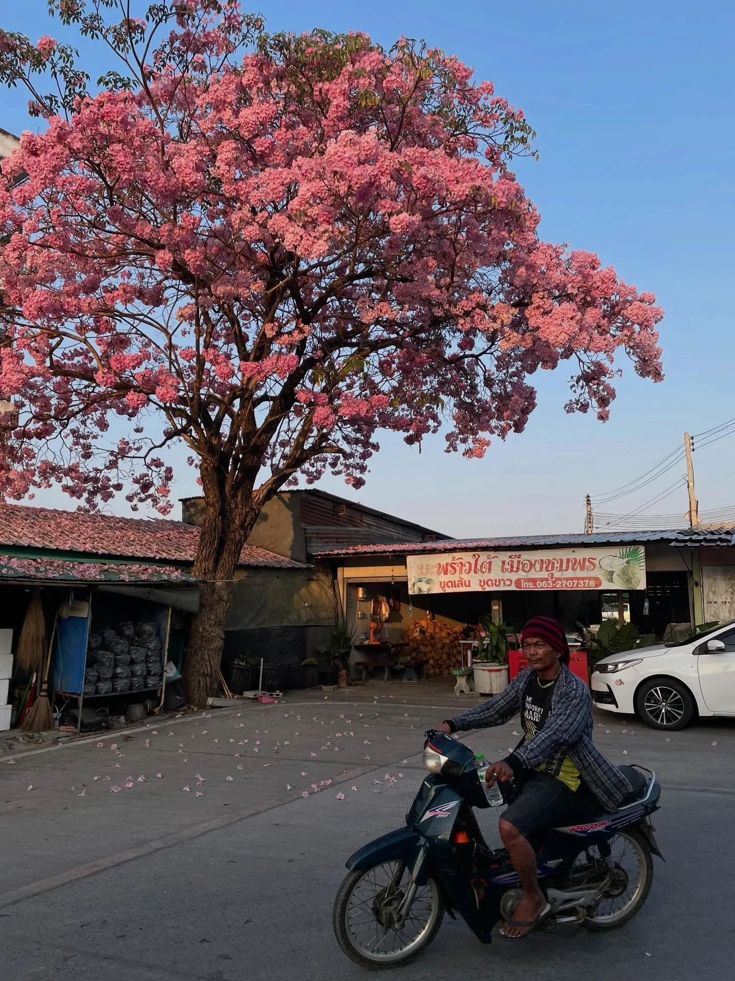 In &ldquo;First Colors&rdquo; learn how new writer Madi Keto paints herself the color of her surroundings.