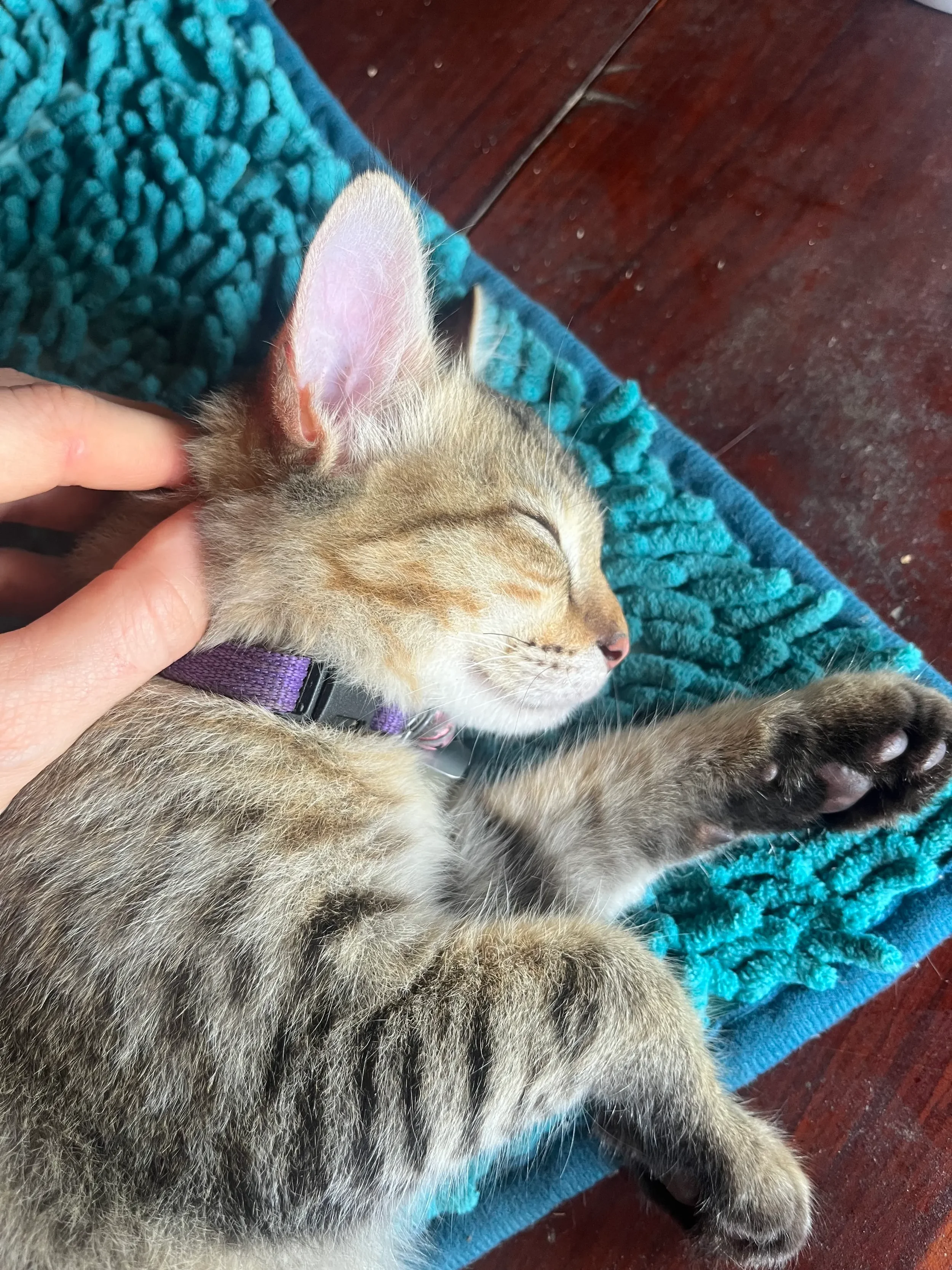 SSFF: My Own Trouble