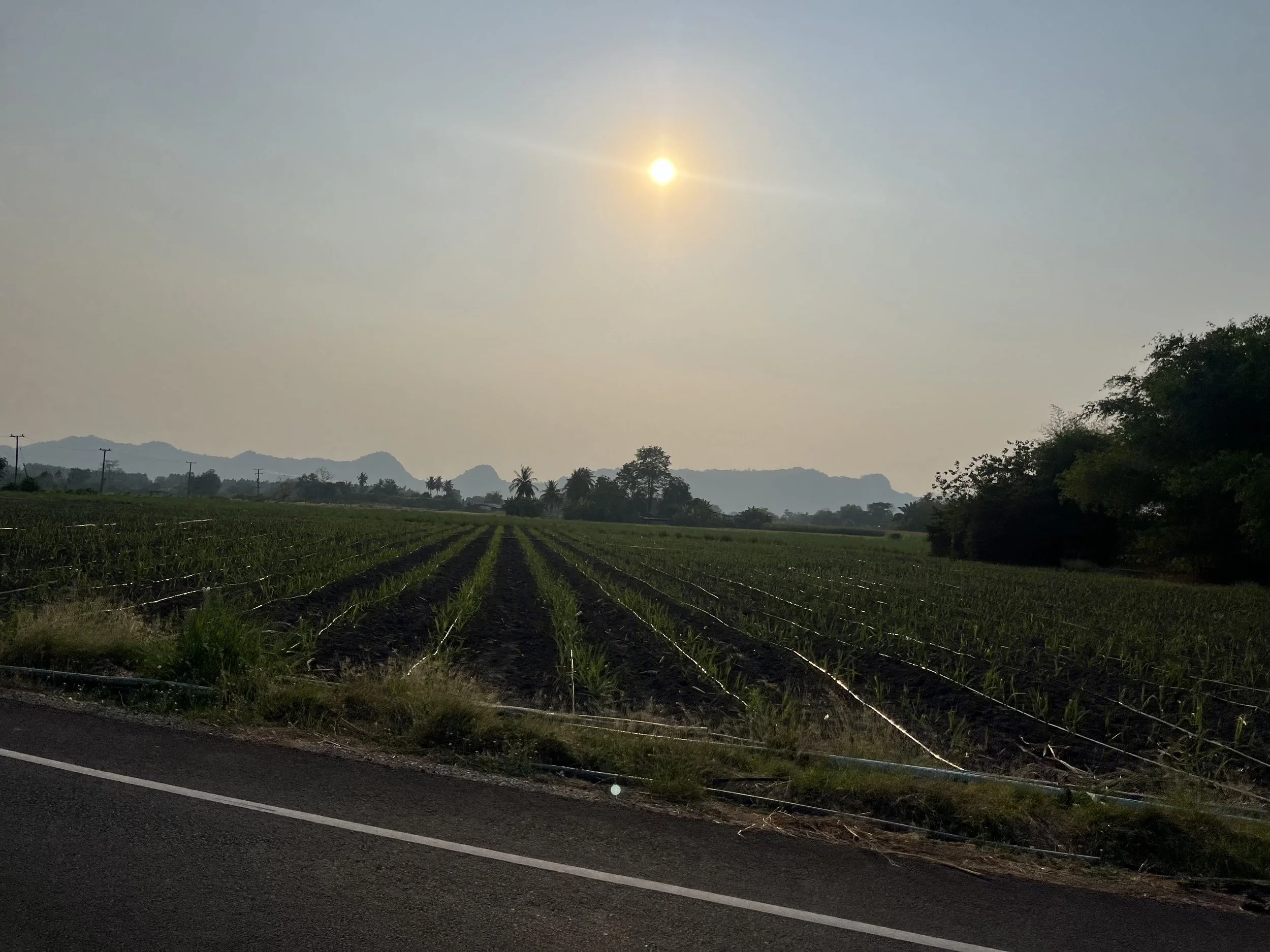 IMG_0833 - Seon Tromble.jpeg