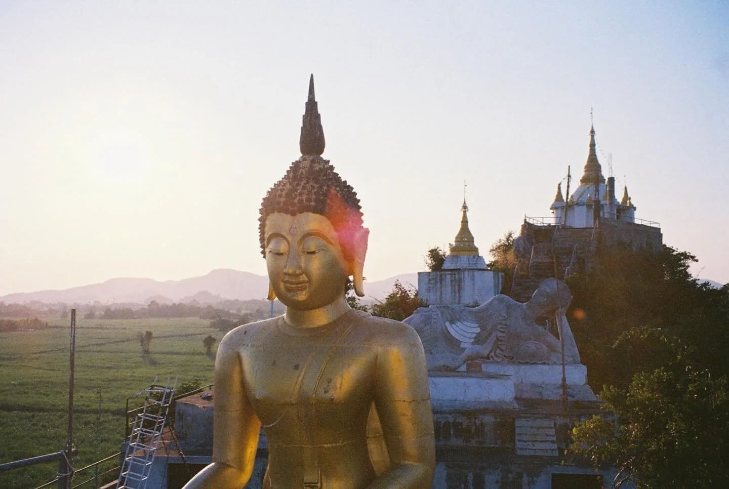 Introducing new series BTS: Buddhism Through Service, where Hana and other writers will explore Buddhism from a beginner learners lens.

Photography by Samantha Parrish