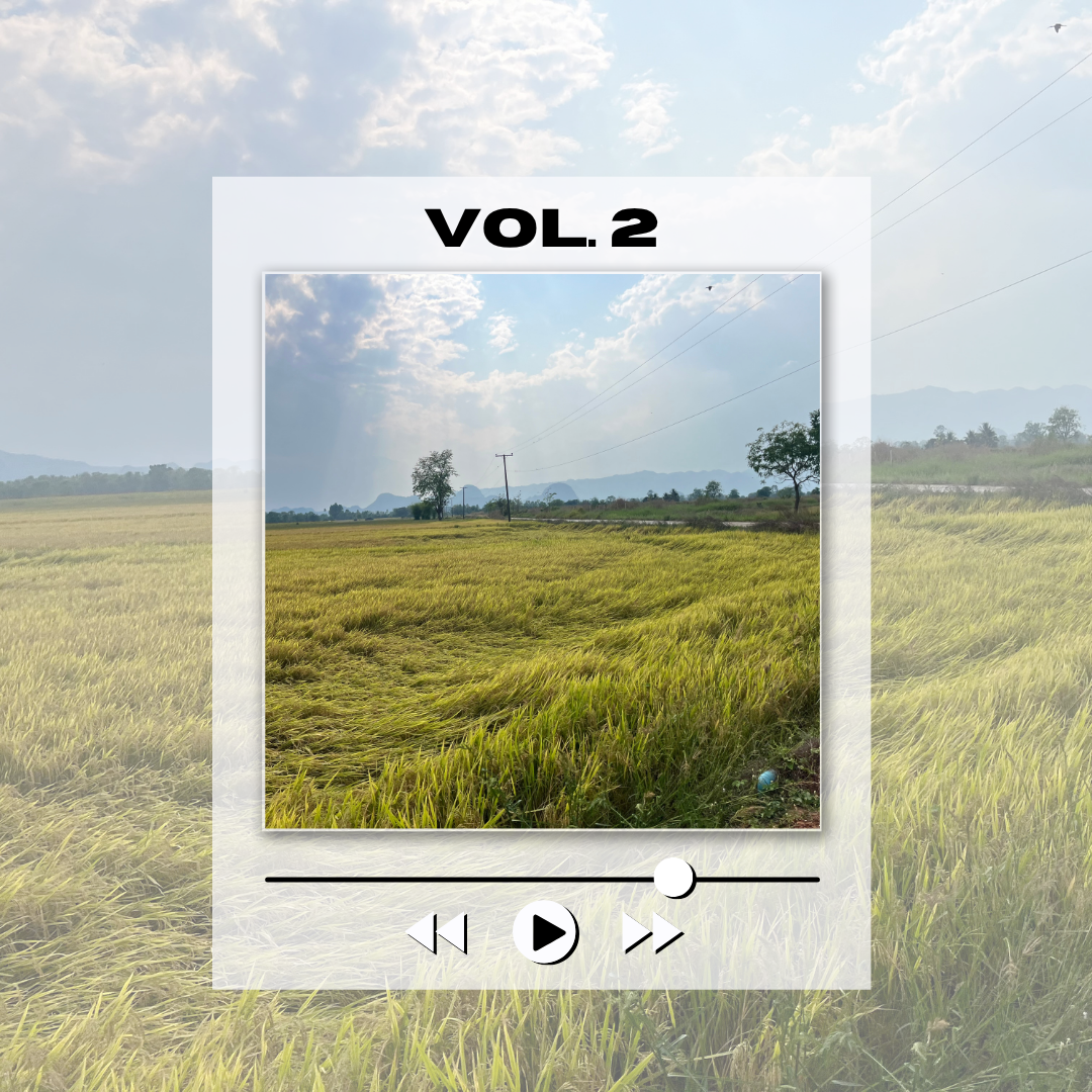 My Peace Corps Soundtrack (Vol. 2)