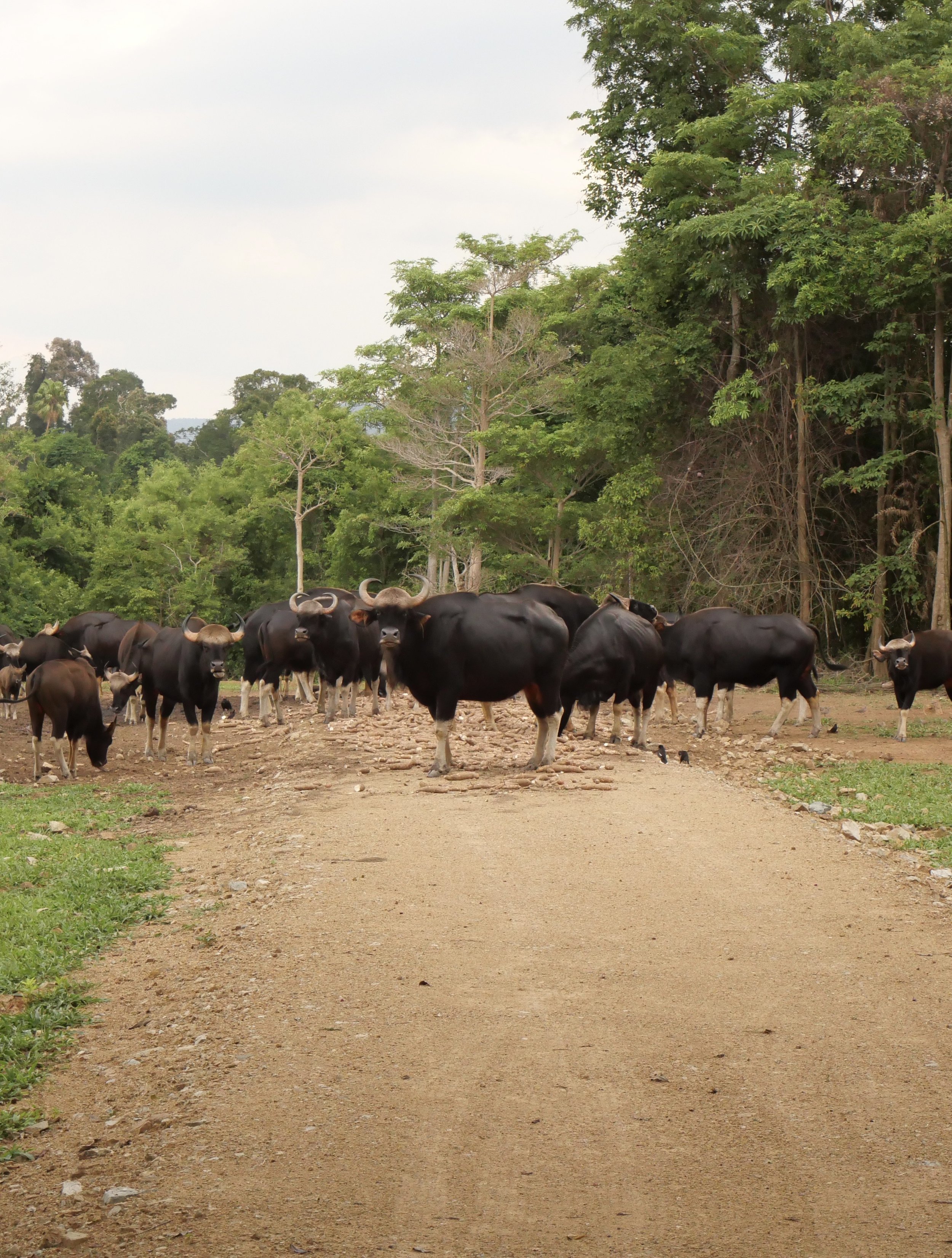July Individual Image 5 —Tucker.jpeg