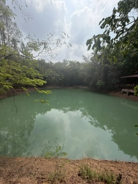 07GA_Pond - Olivia Fee.jpeg