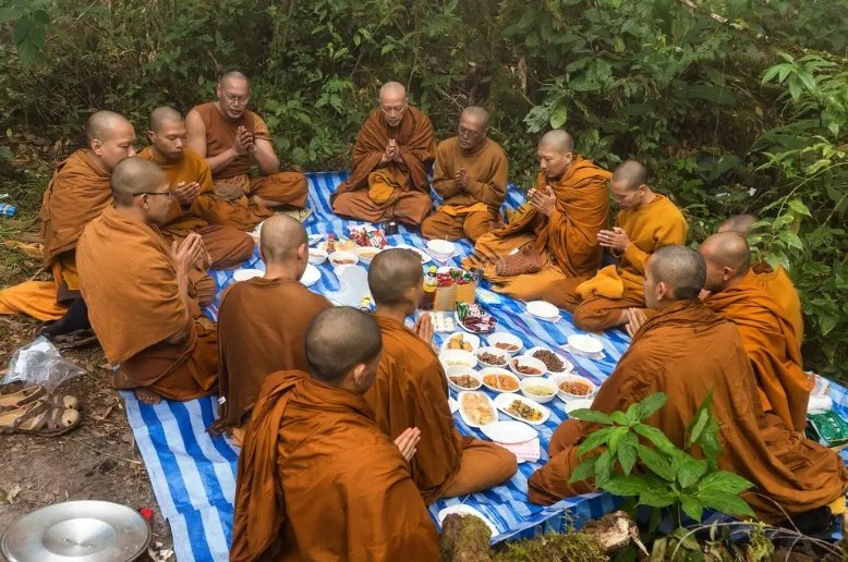 Forest Monks - Hana Walsh.png