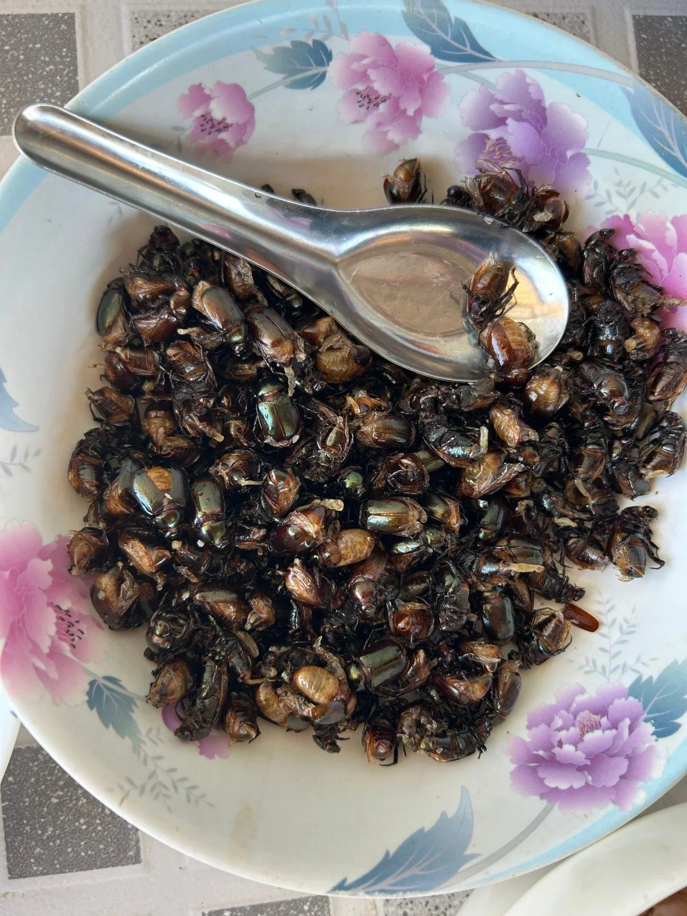 Friends Made Over Crickets