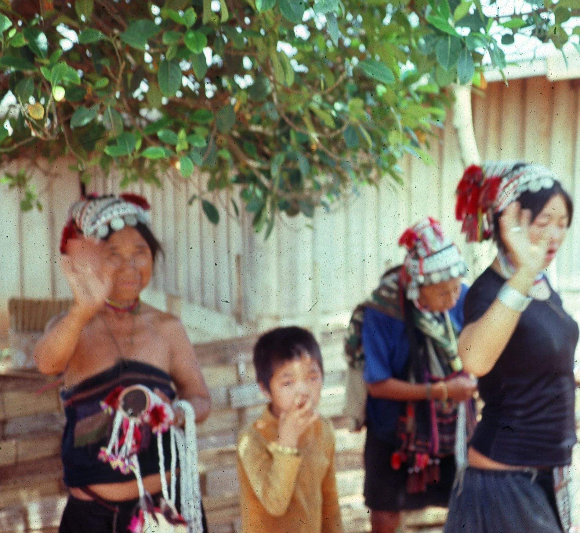Hill Tribe Doi Mesalon.