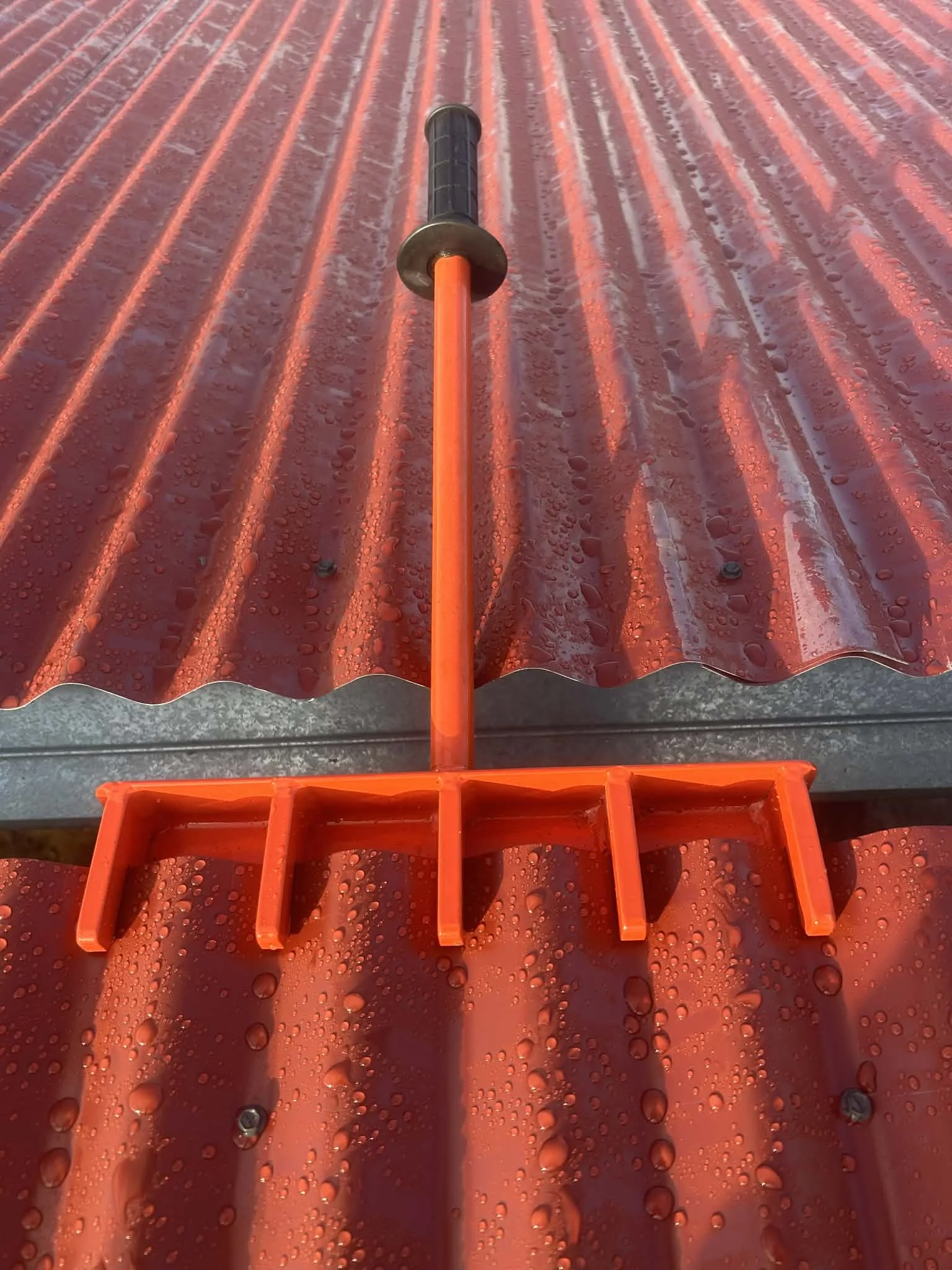 0e976b00-28f4-485e-88e9-e92c11722692 (1).jpg