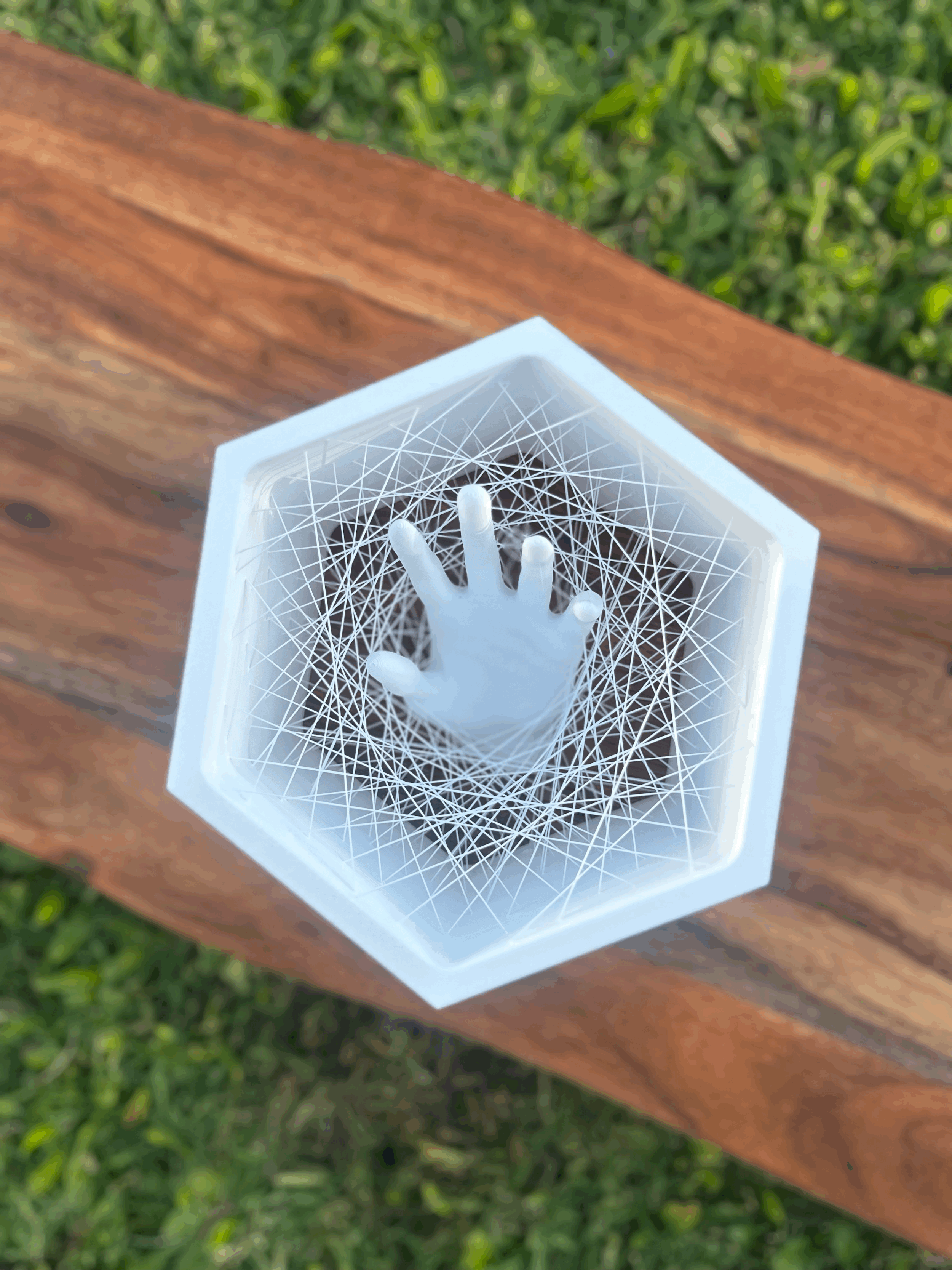 The Captured Hand
