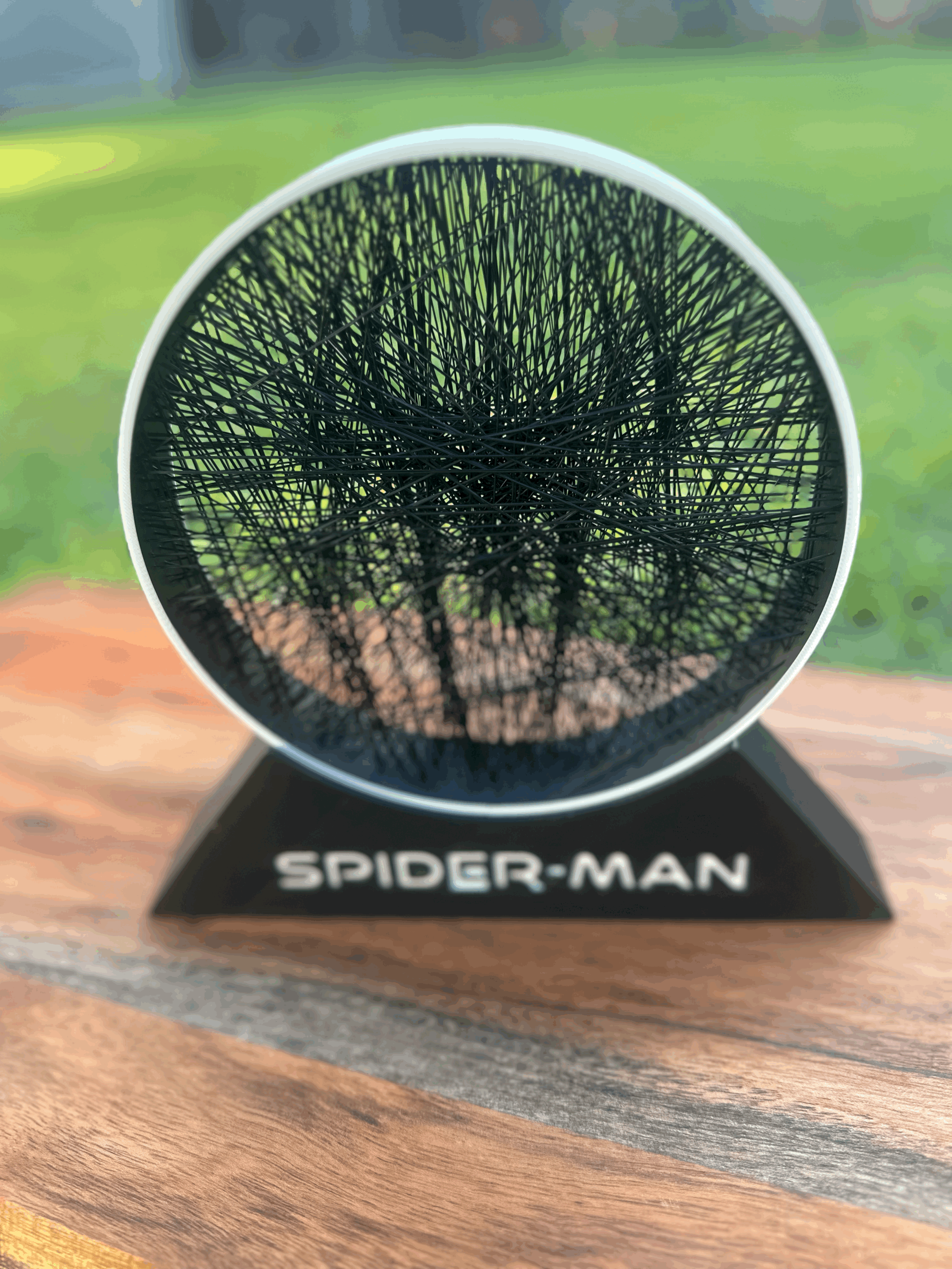 Web Hero String Art Plaque