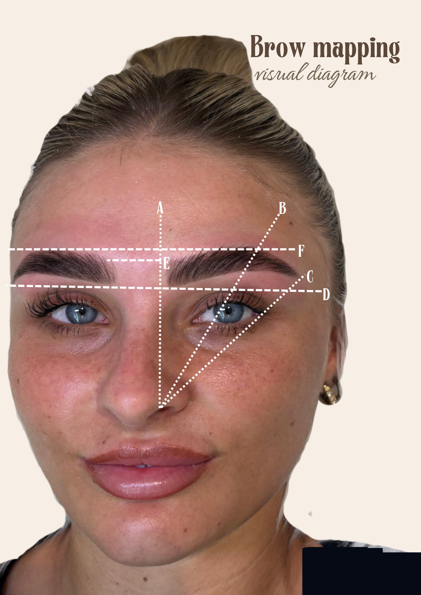 Brow mapping visual diagram.png
