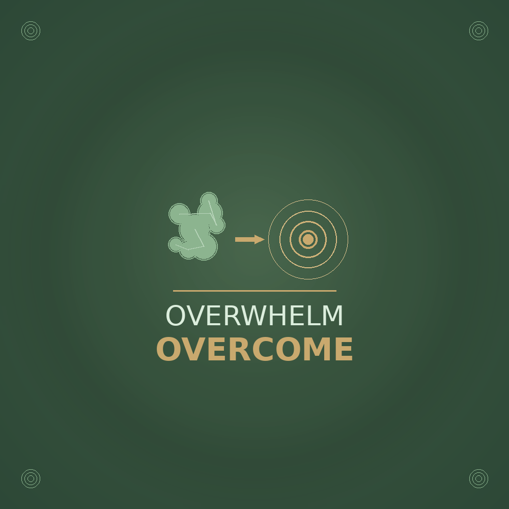 The Overwhelm Reset Guide