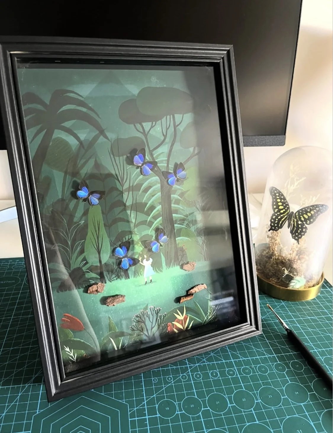 Jamides Bochus Specimen Art Frame🦋