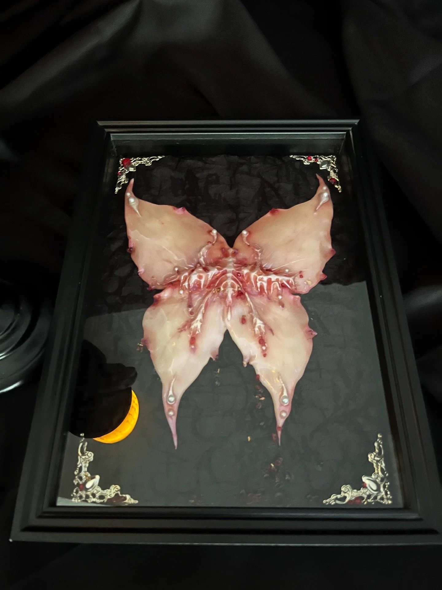 Midnight Garden · Blooming Wing