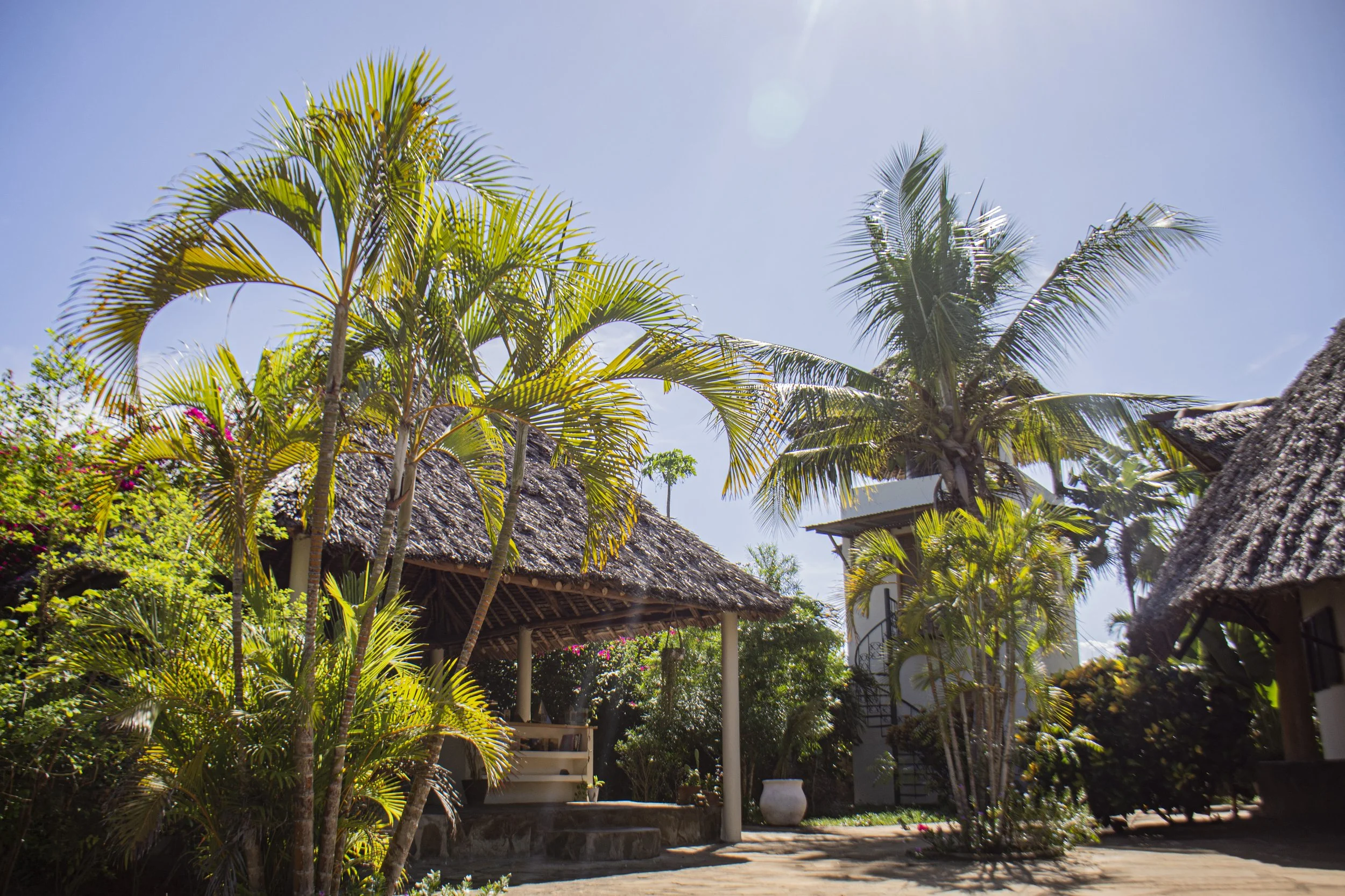 Natural environment at House of Afya Diani