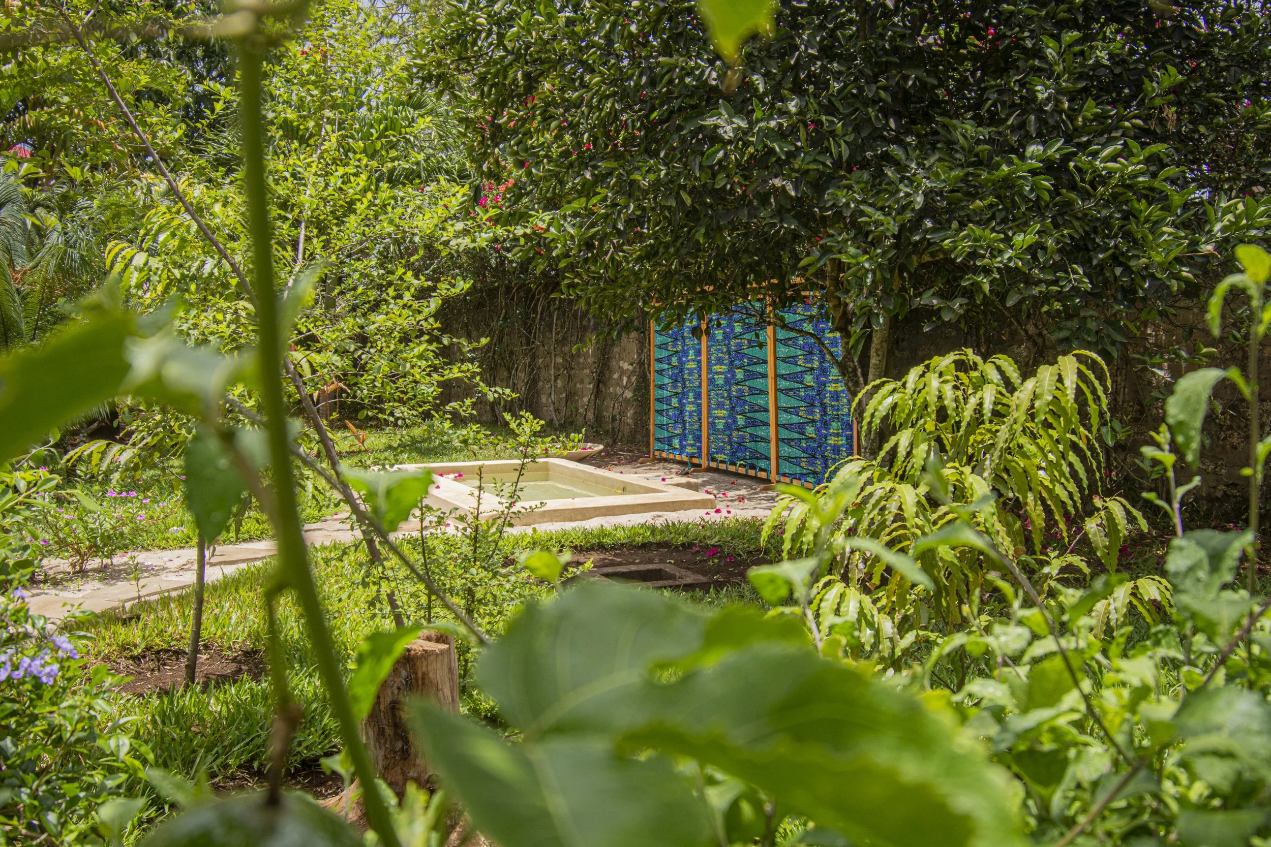 Natural environment at House of Afya Diani