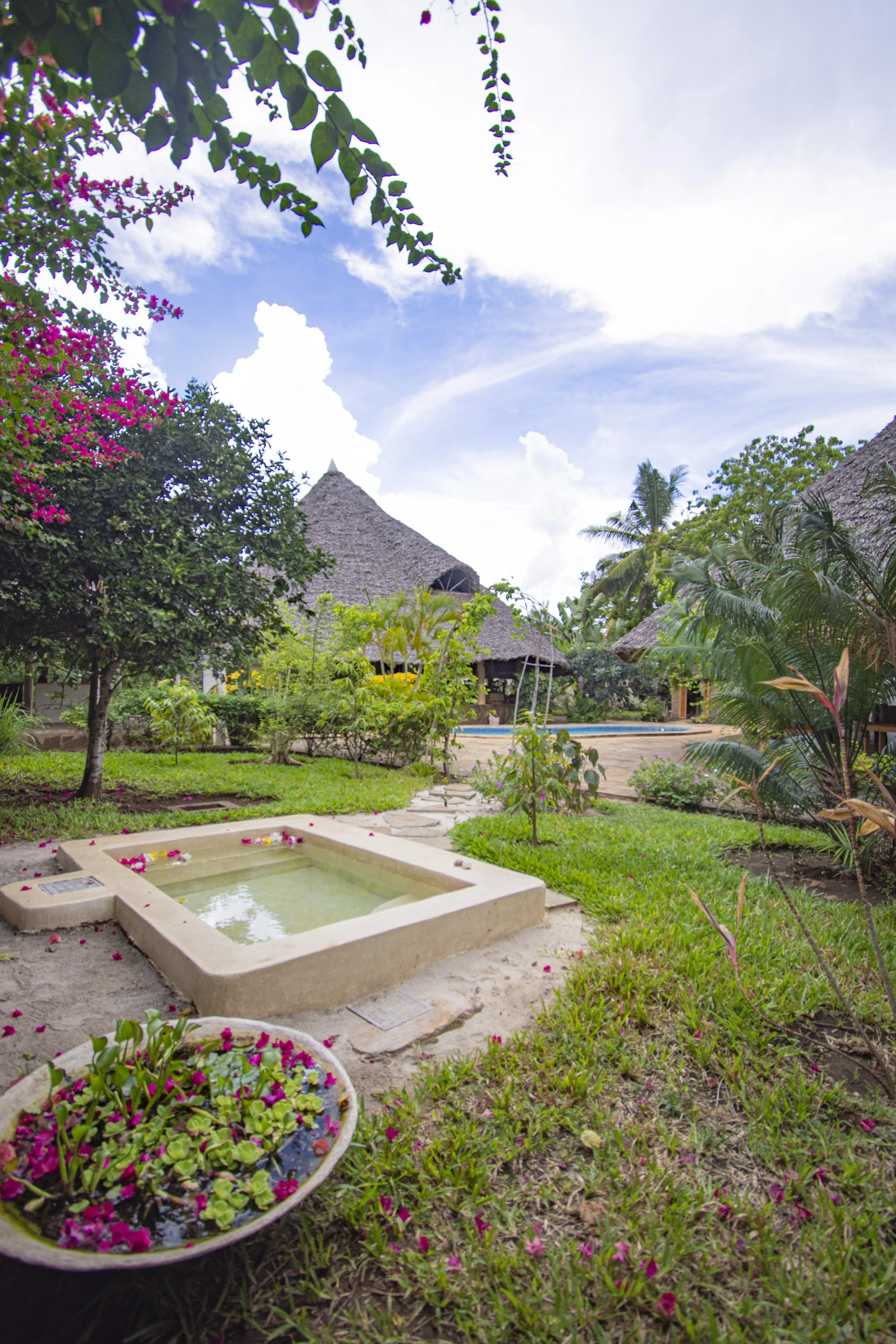 Natural environment at House of Afya Diani