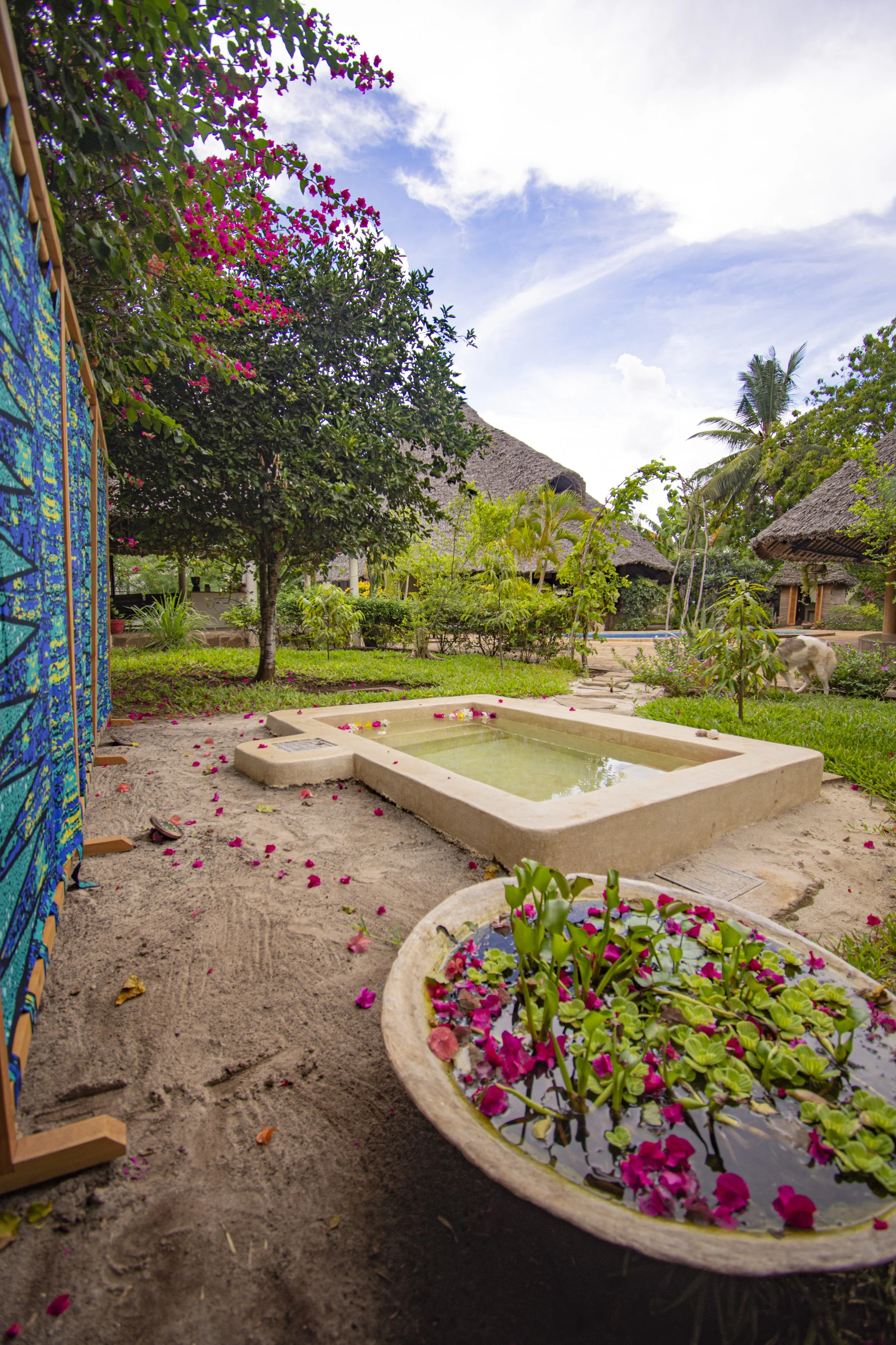 Peaceful ambience at House of Afya Diani Kenya