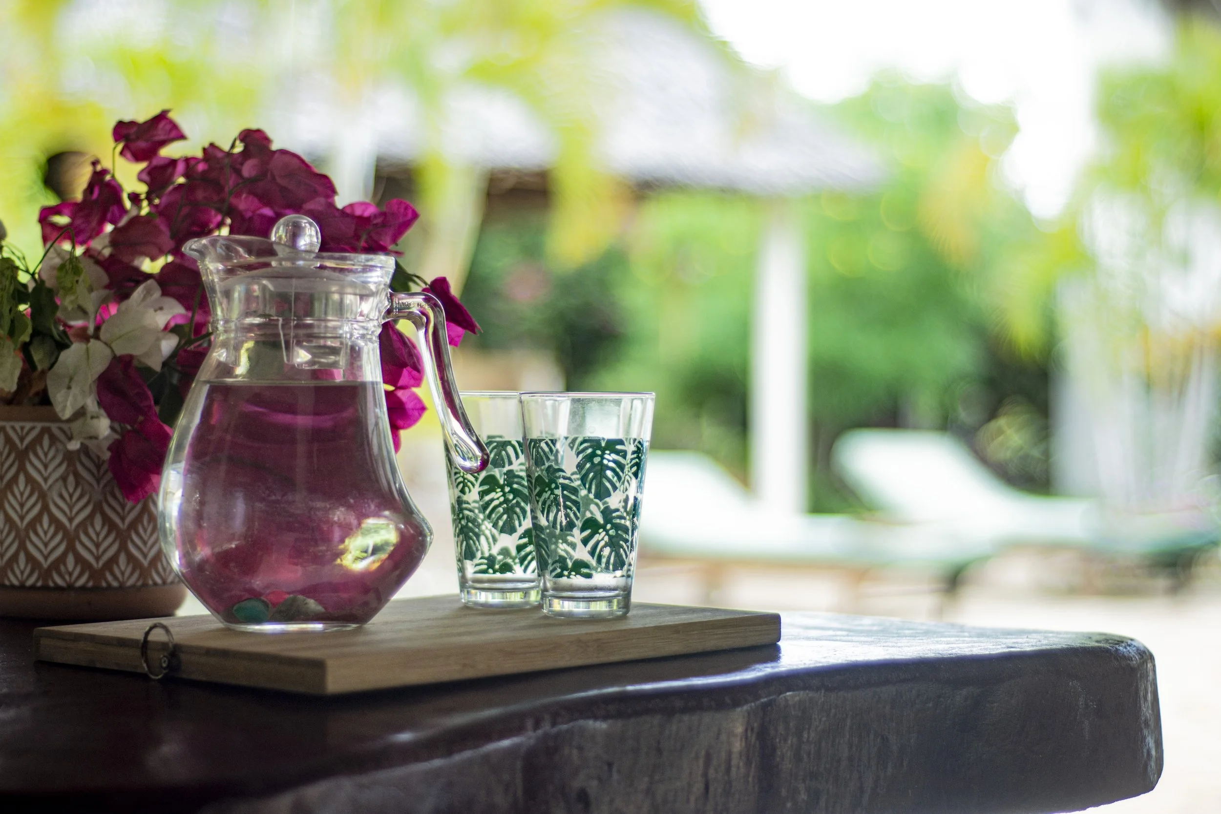 Natural environment surrounding House of Afya Diani Kenya