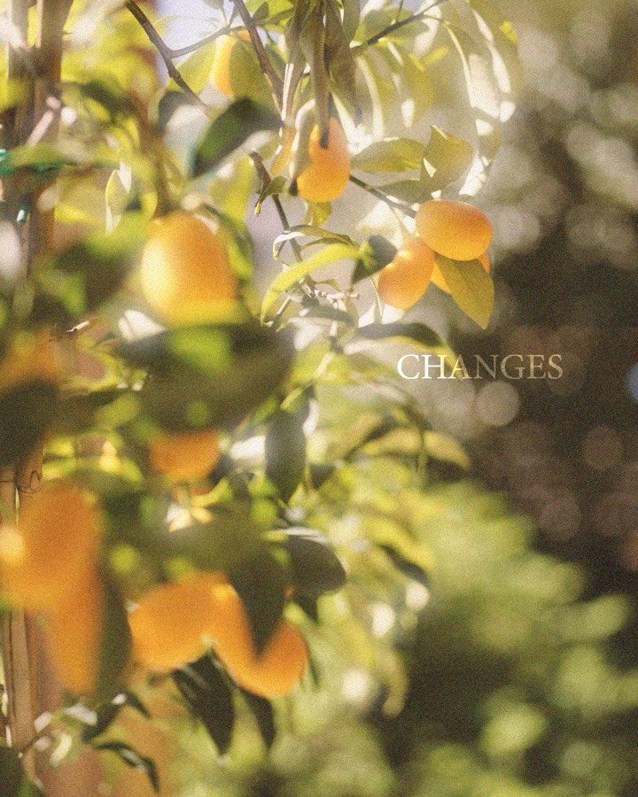 ⁨	אני רושמת את הפוסט הזה כתזכורת בשבילי
לפתוח אותו בדיוק עוד שנה ב5.2.27 ולהגיד לעצמי
מה שרציתי קרה⁩