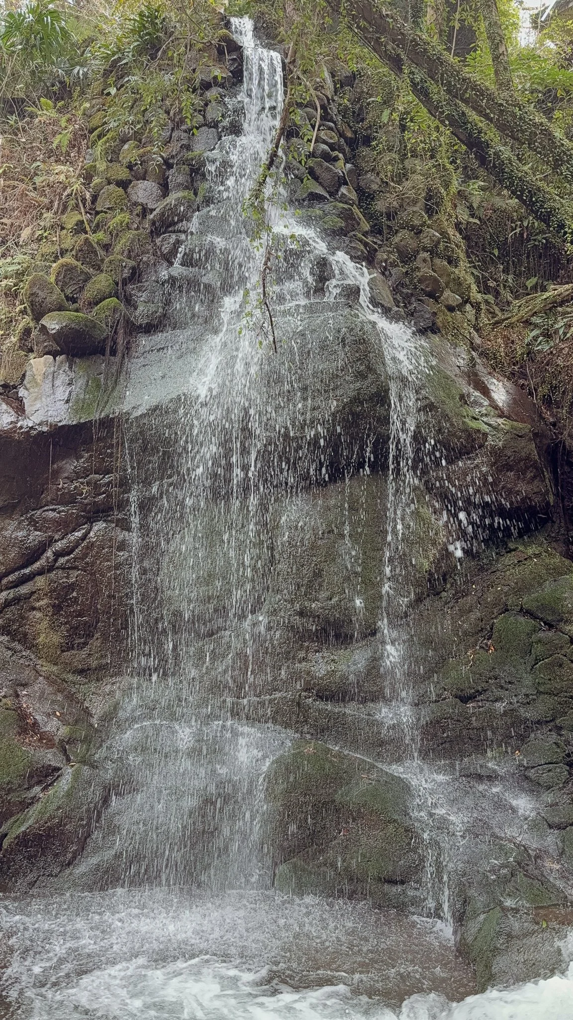 IMG_6616.jpg