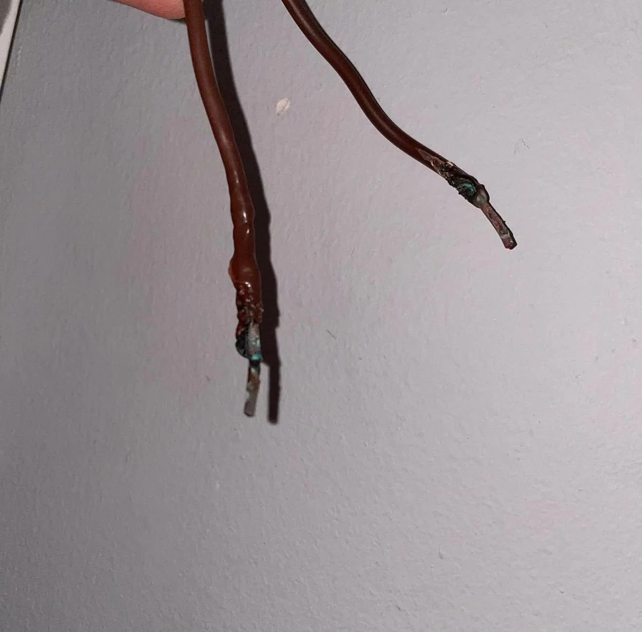 Two frayed electrical wires hanging against a gray wall.