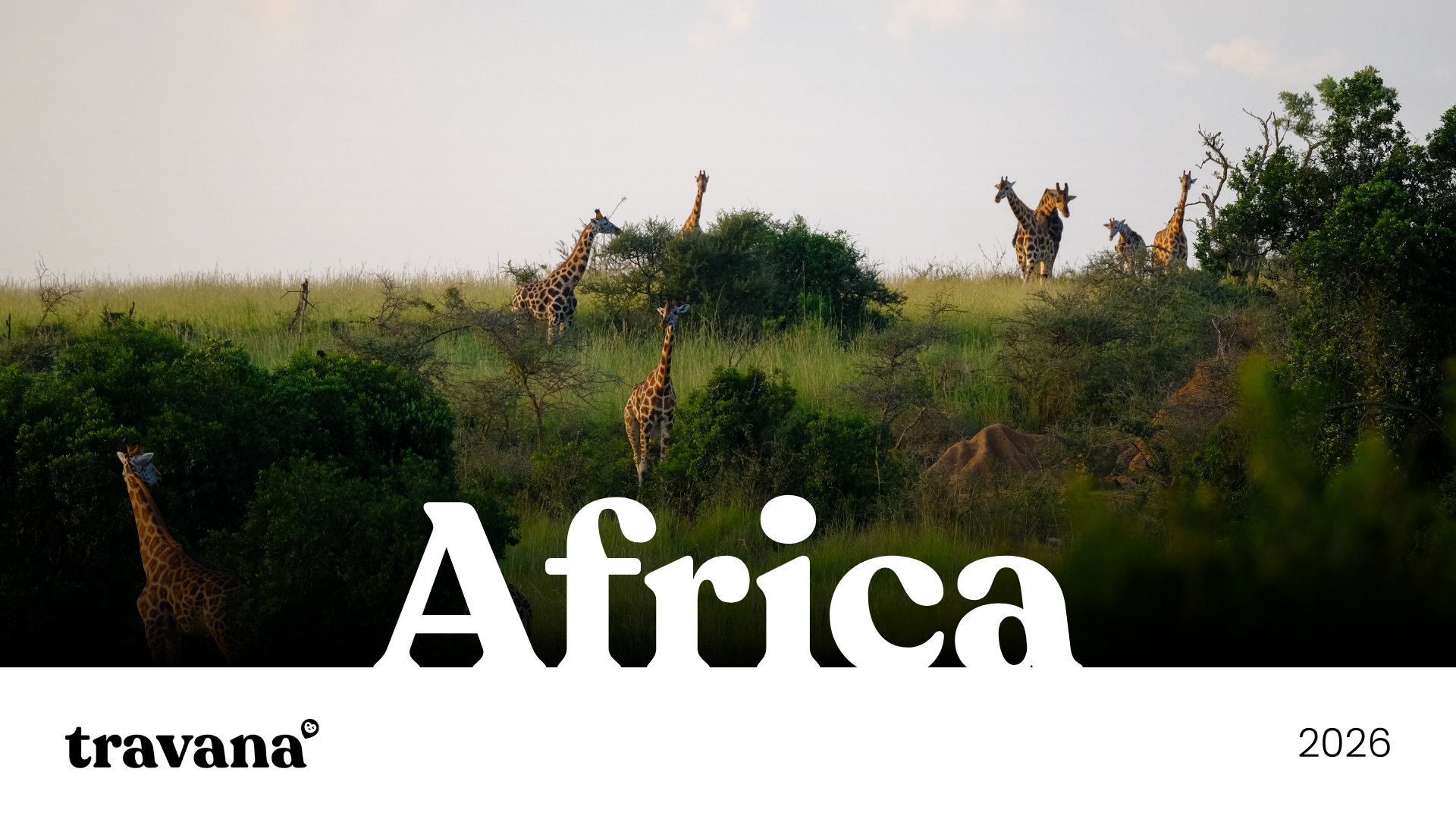 Book a tour with Travana in Africa