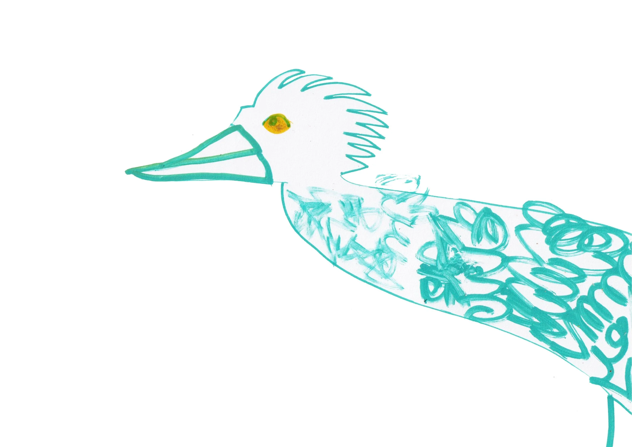 Grebes live illusatration from podcast