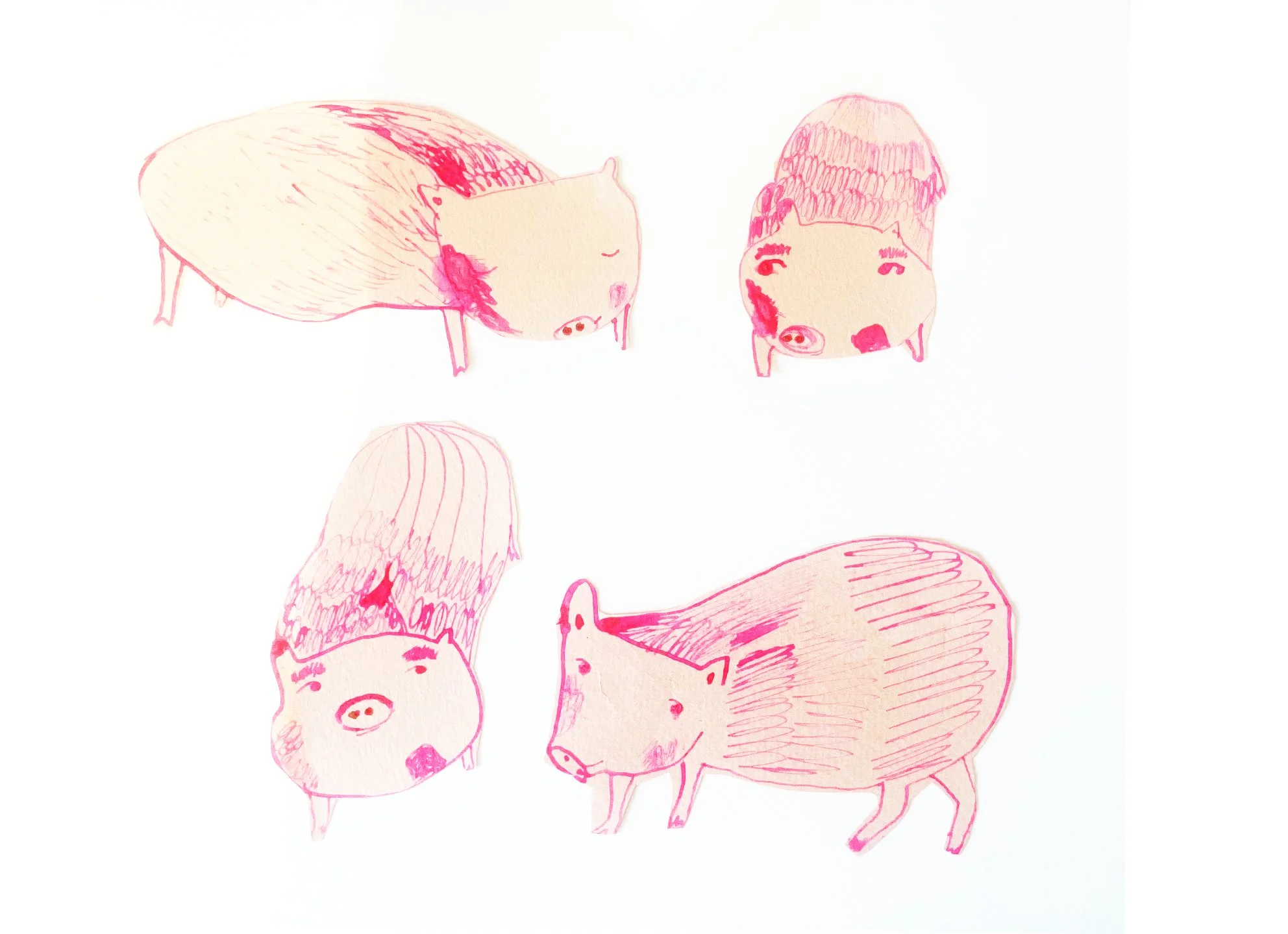 piggies.jpg
