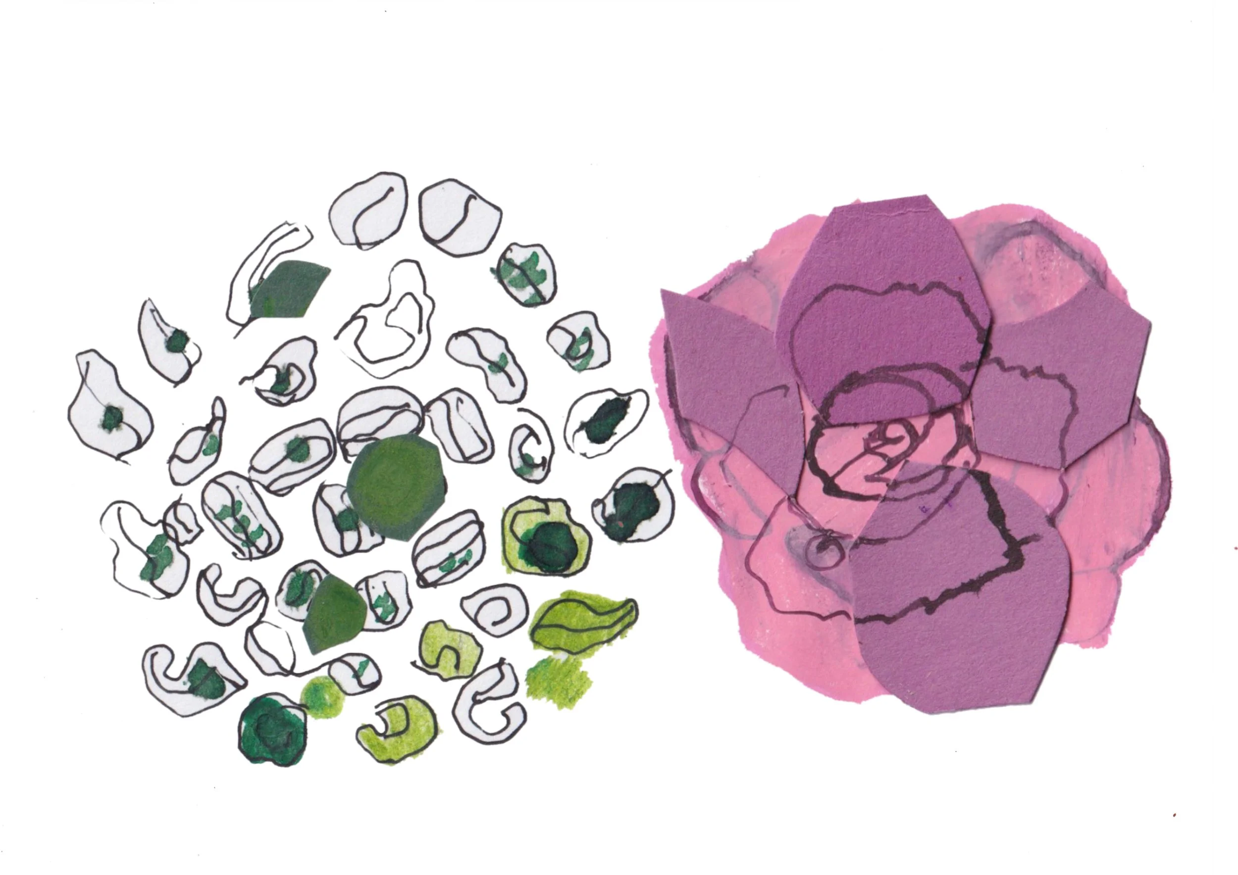 rose.jpg