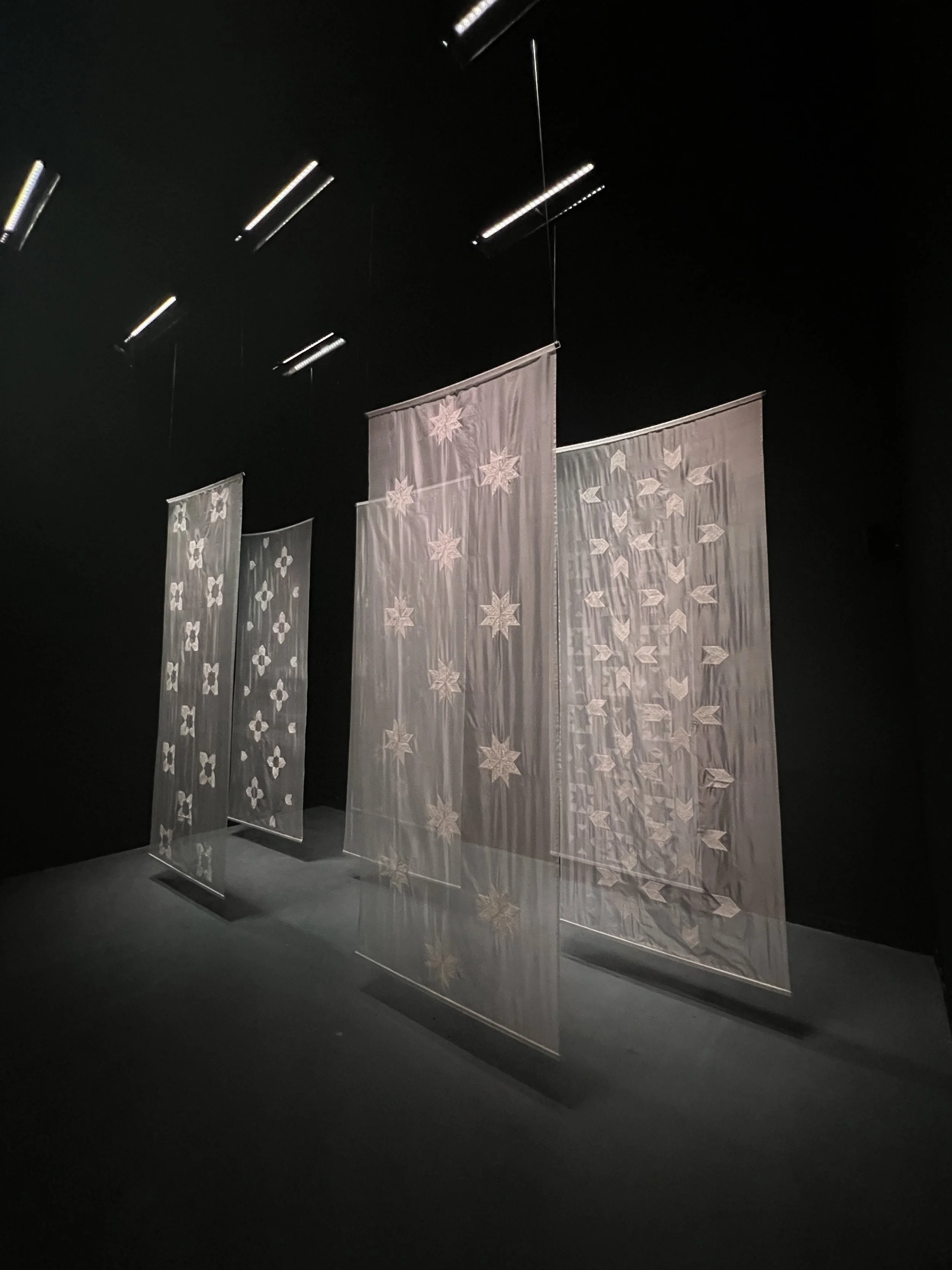 FB_Transcending Veils_5.JPG