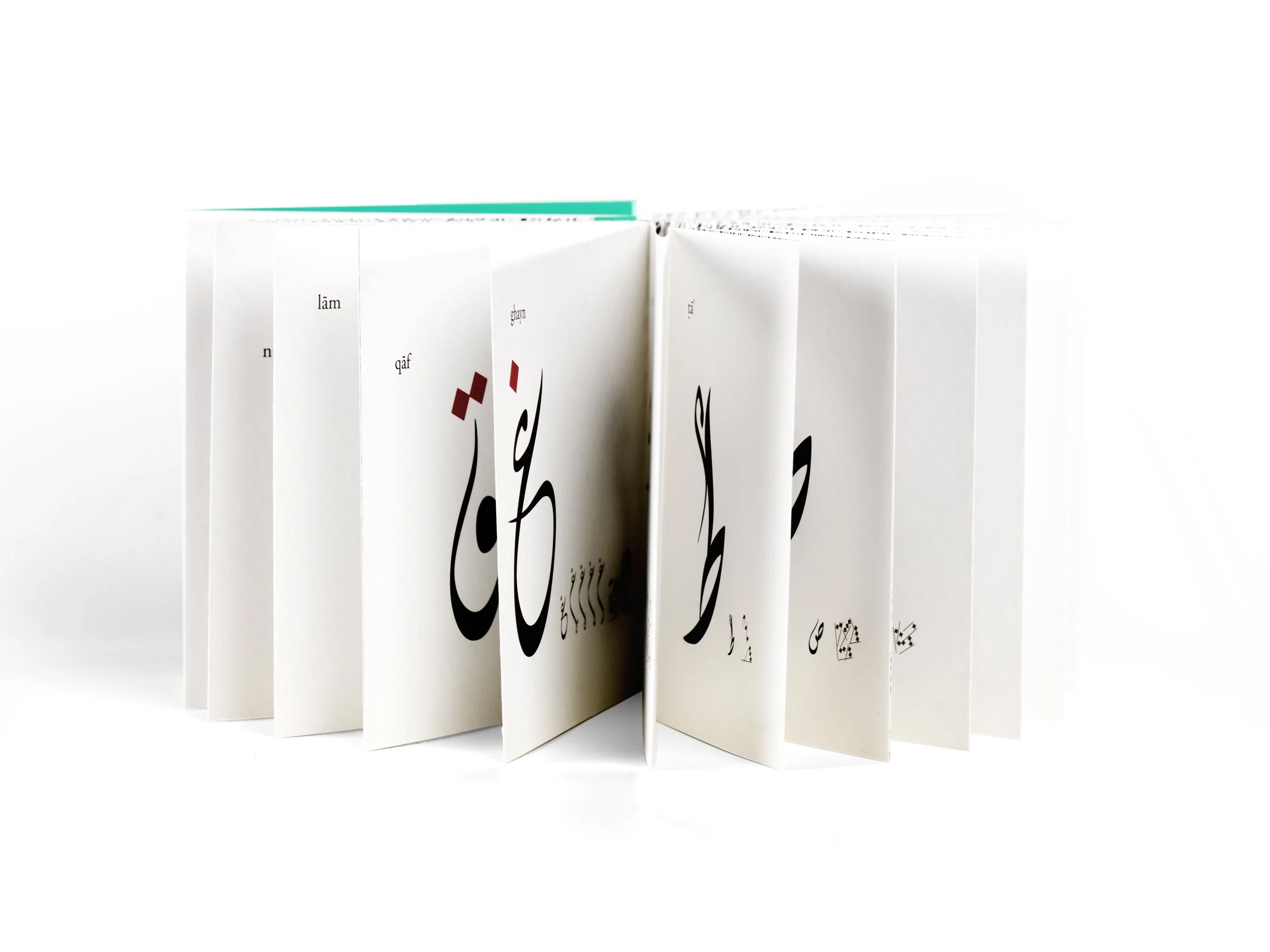 The Conference of the Birds