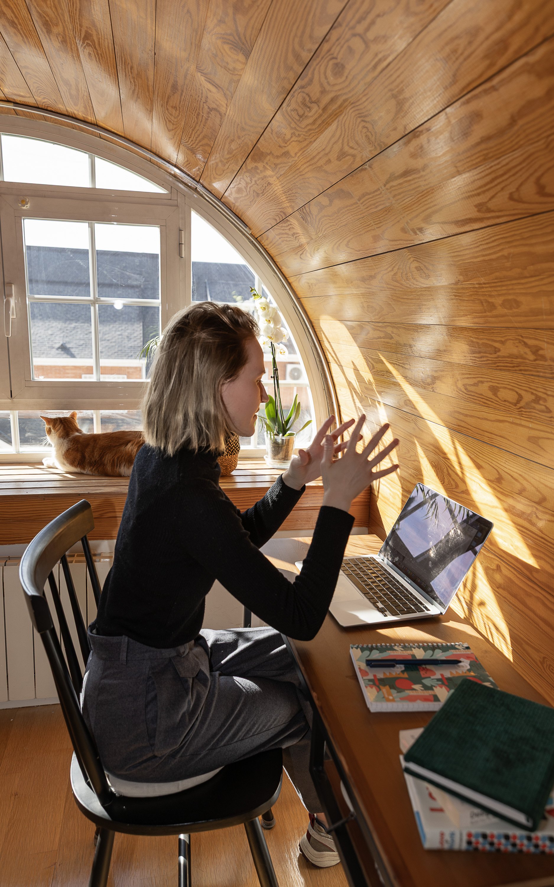 A woman sitting at a wooden desk in an attic room, working on a laptop. A ginger cat is lying on the windowsill beside her. The room has wooden walls and a window letting in sunlight which casts shadows on the wall.