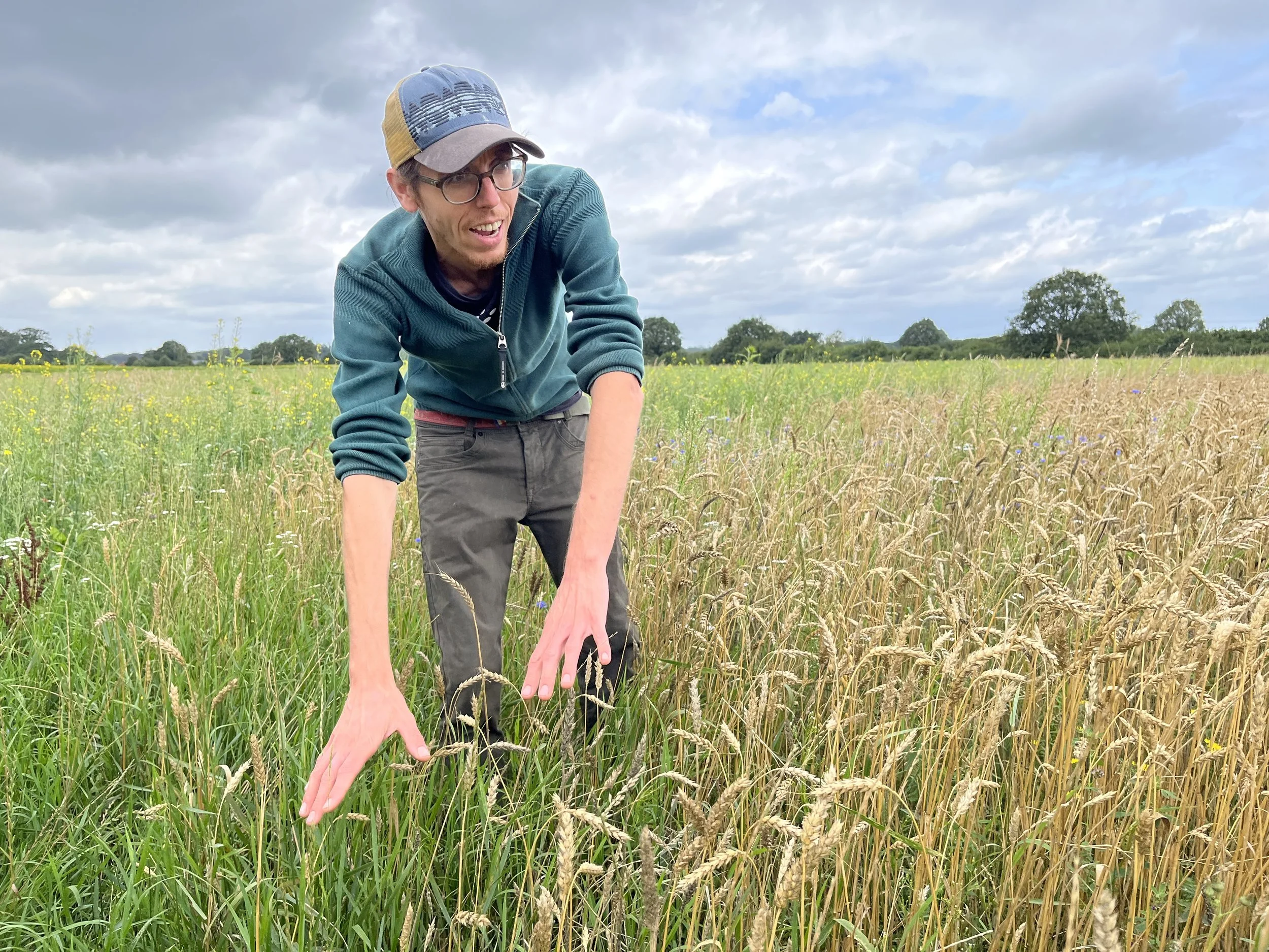 Man die zich in een veld met graan bevindt, met een bewolkte lucht op de achtergrond.