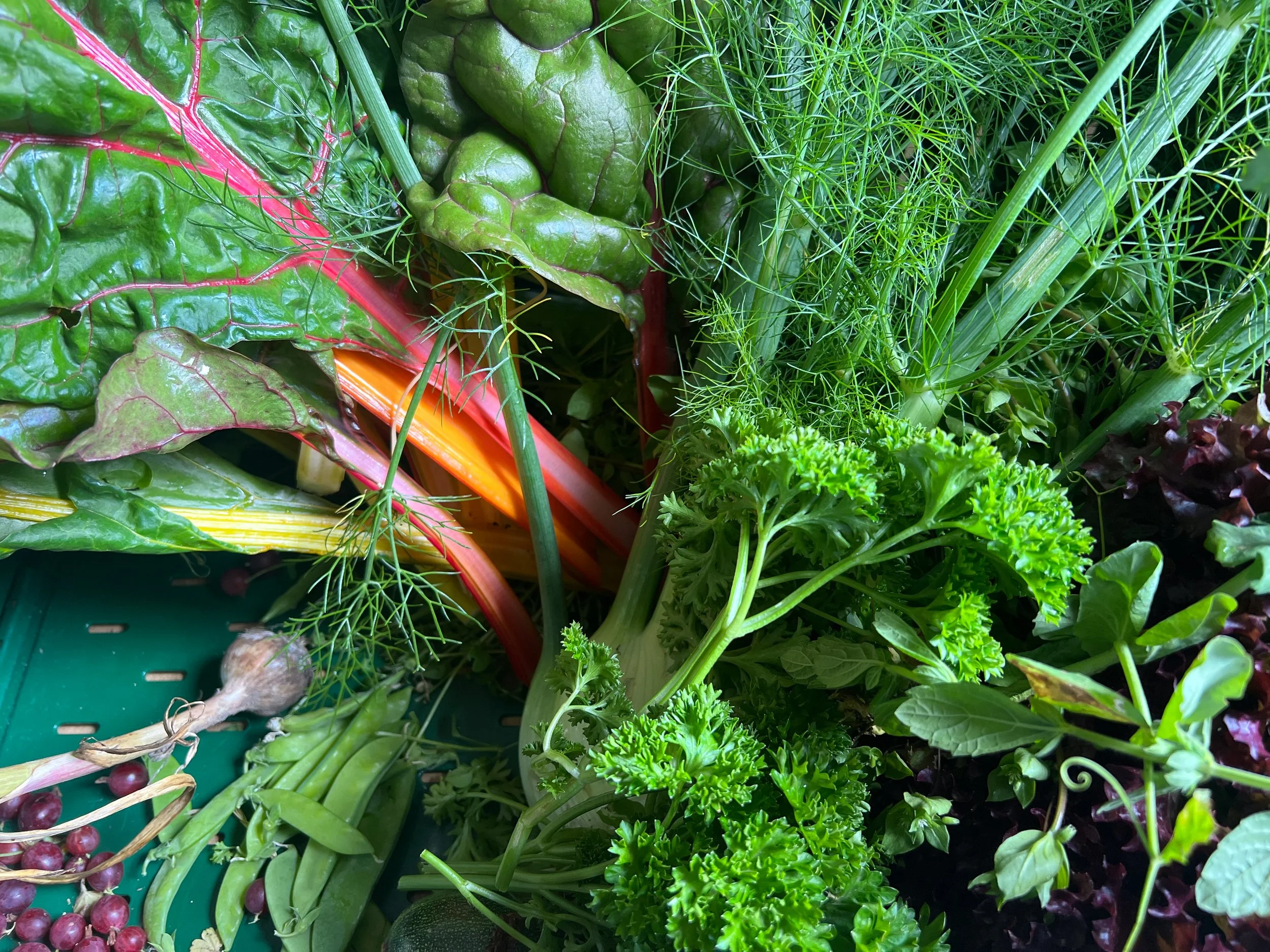 Kant en klaar pakket