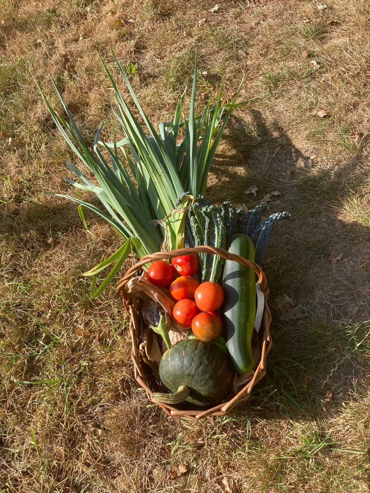 Mand met verschillende groenten en fruit, inclusief tomaten, een komkommer, watermeloen, artisjok en uien, ligt op het gras.