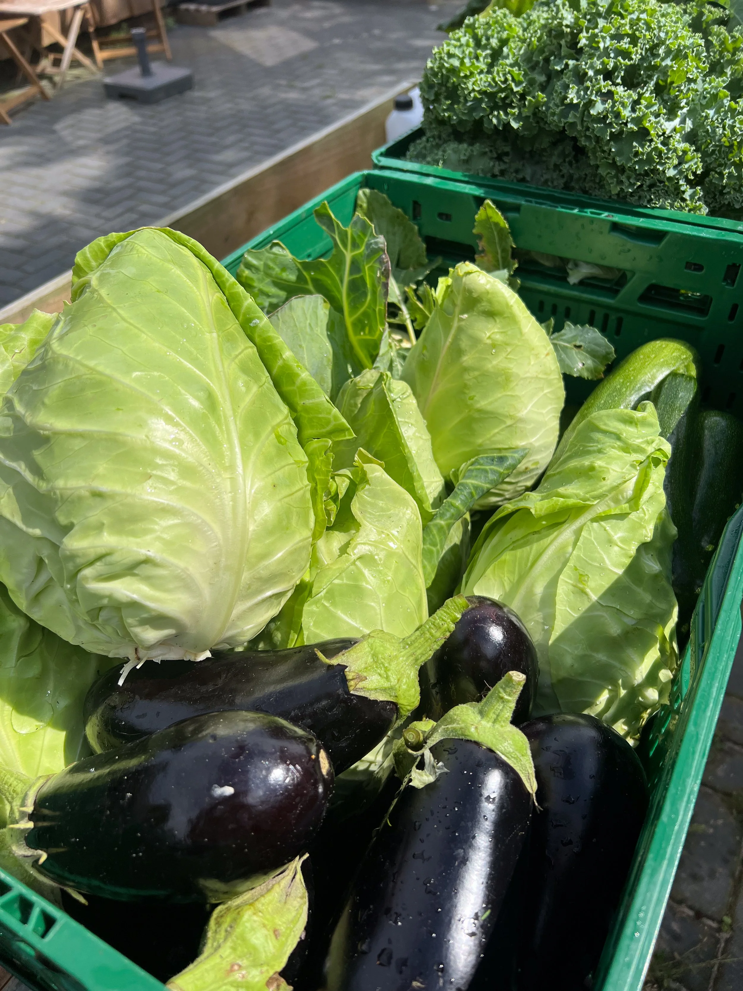 Groene en paarse groenten in een groene crate, waaronder aubergines, kool en misschien wat selderij, op straat met stenen tegels.