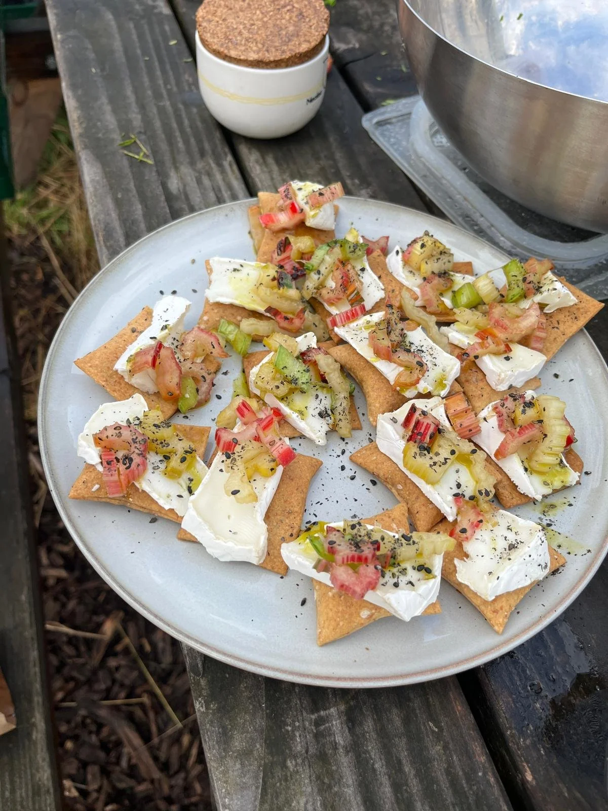 Snijbiet disco-cracker