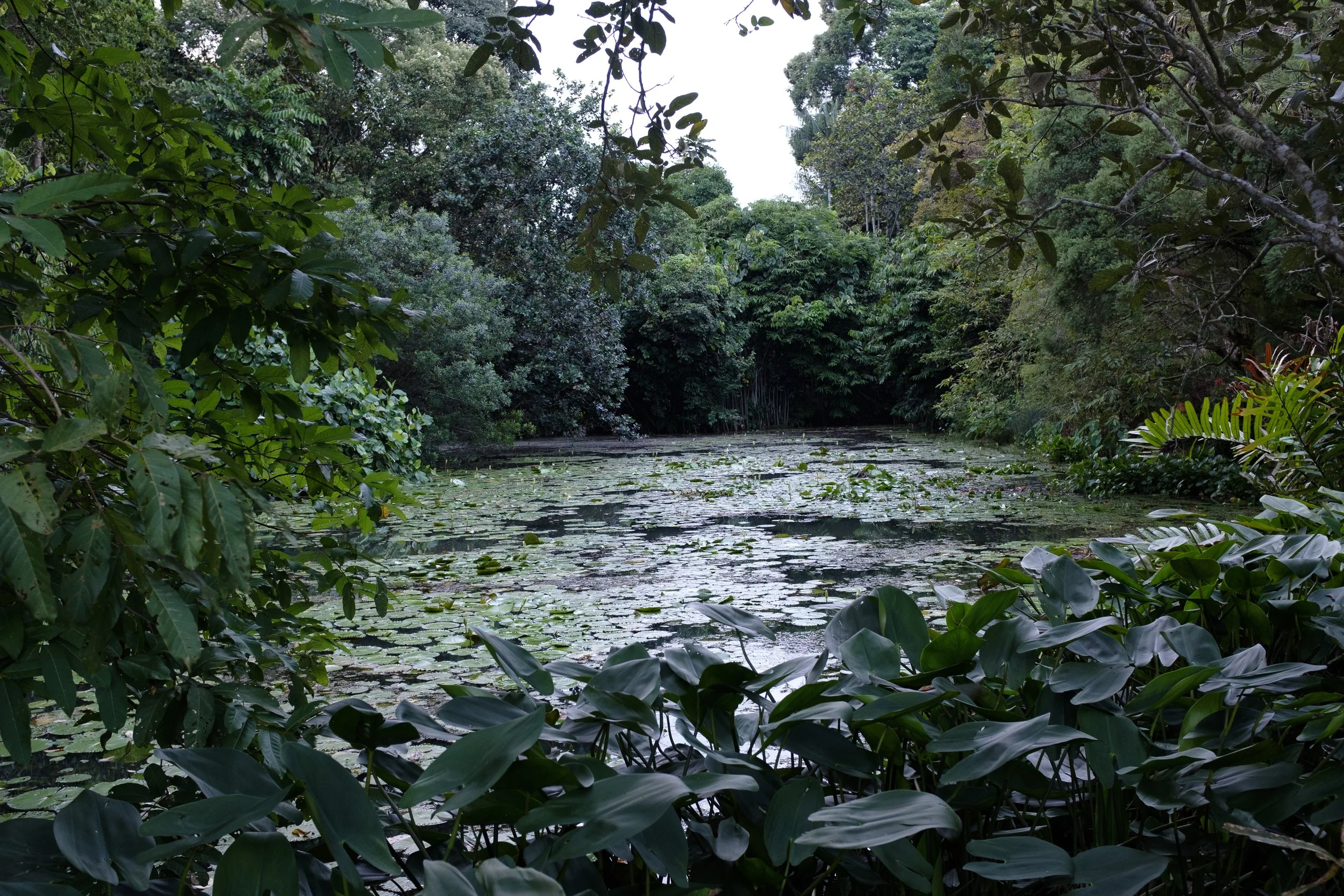 Botanics