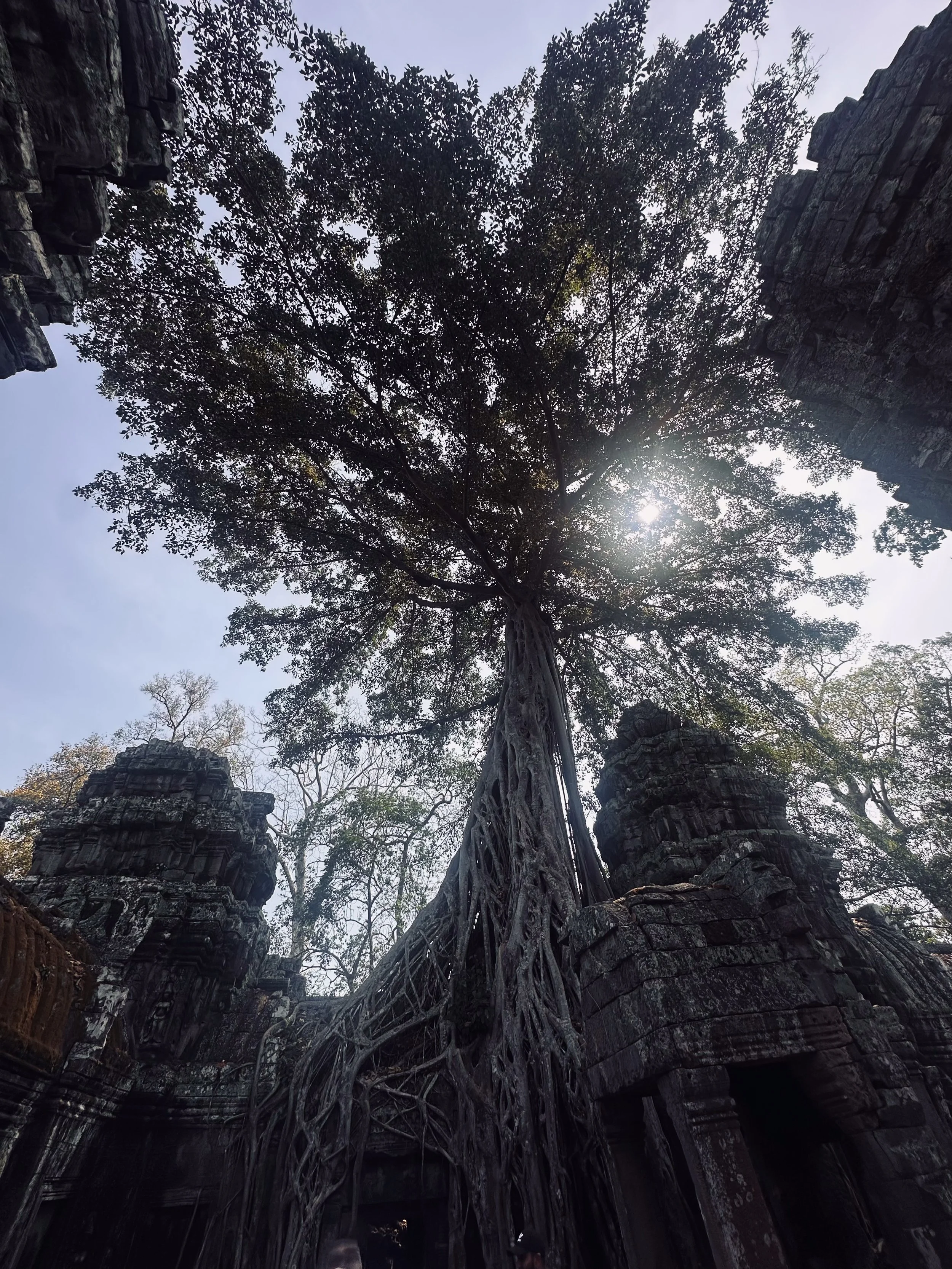Cambodia-11.jpg