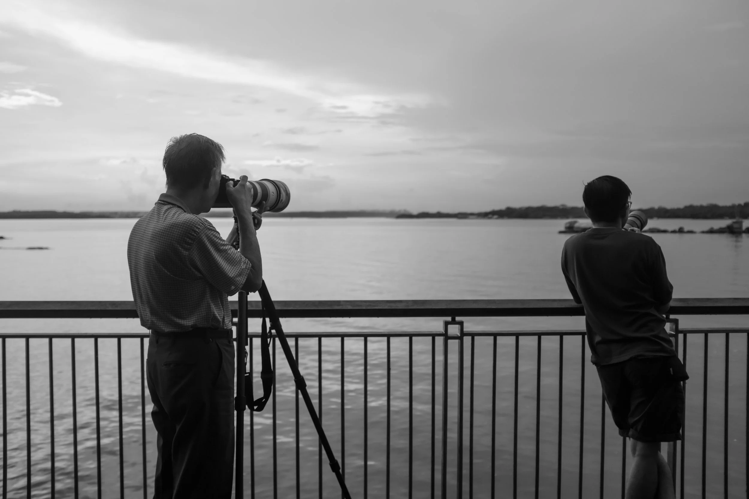 Big birds and big lenses