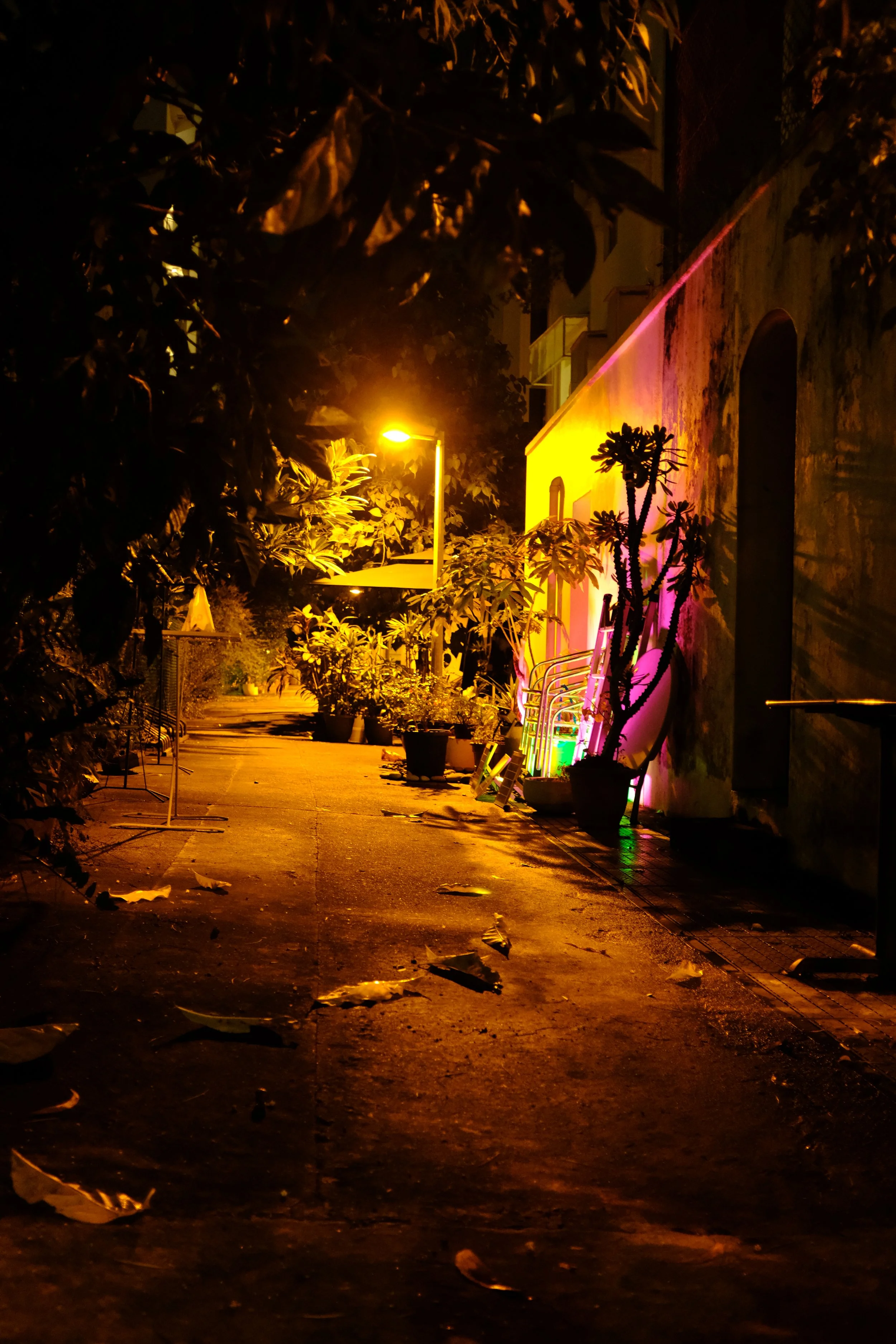 Behind the house where the heroin happens
