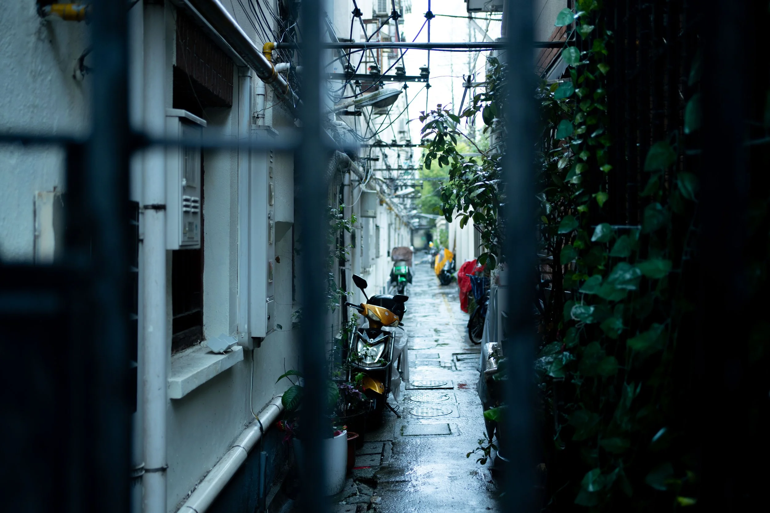 Shanghai-5.jpg