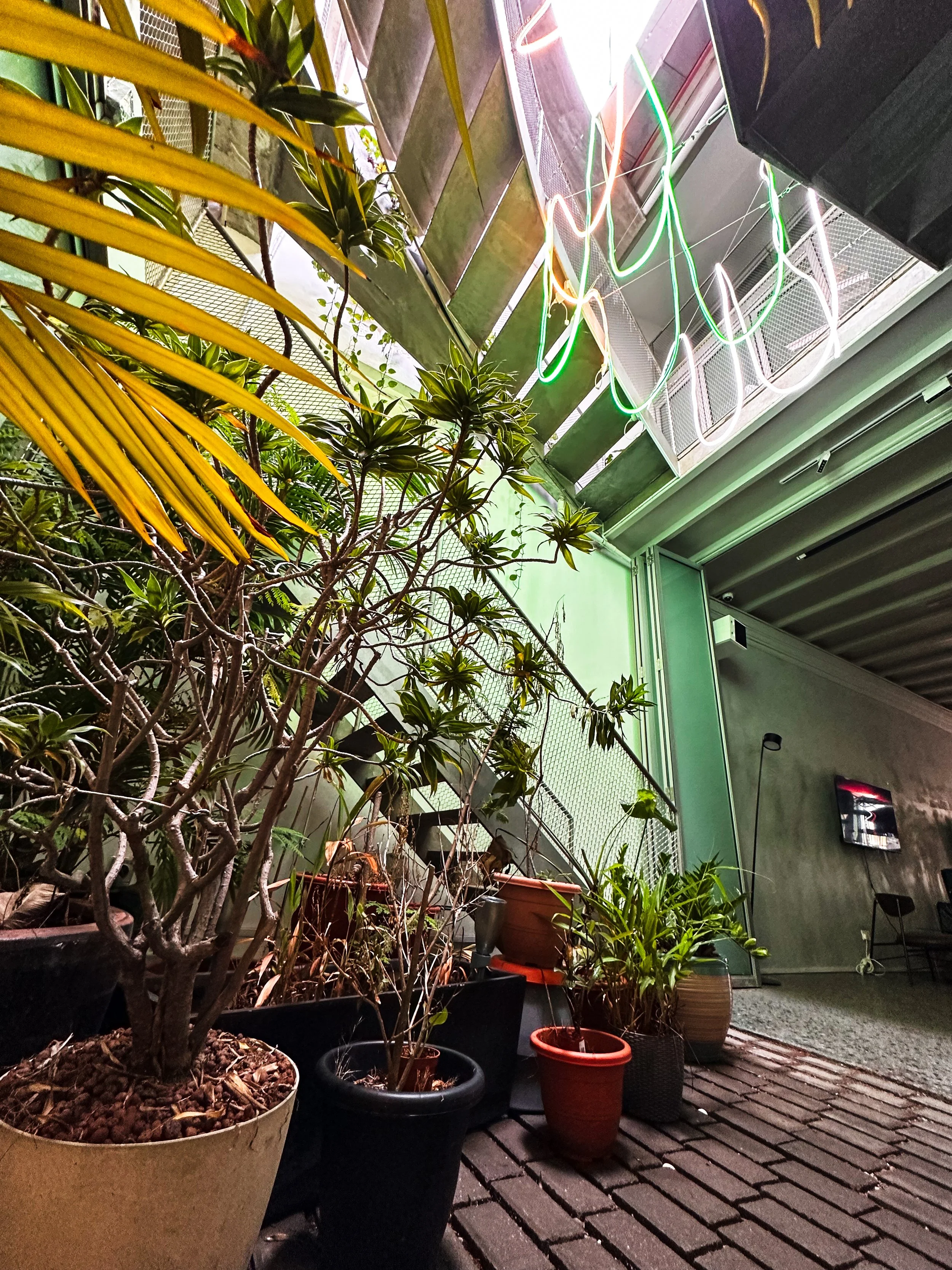 WFH courtyard